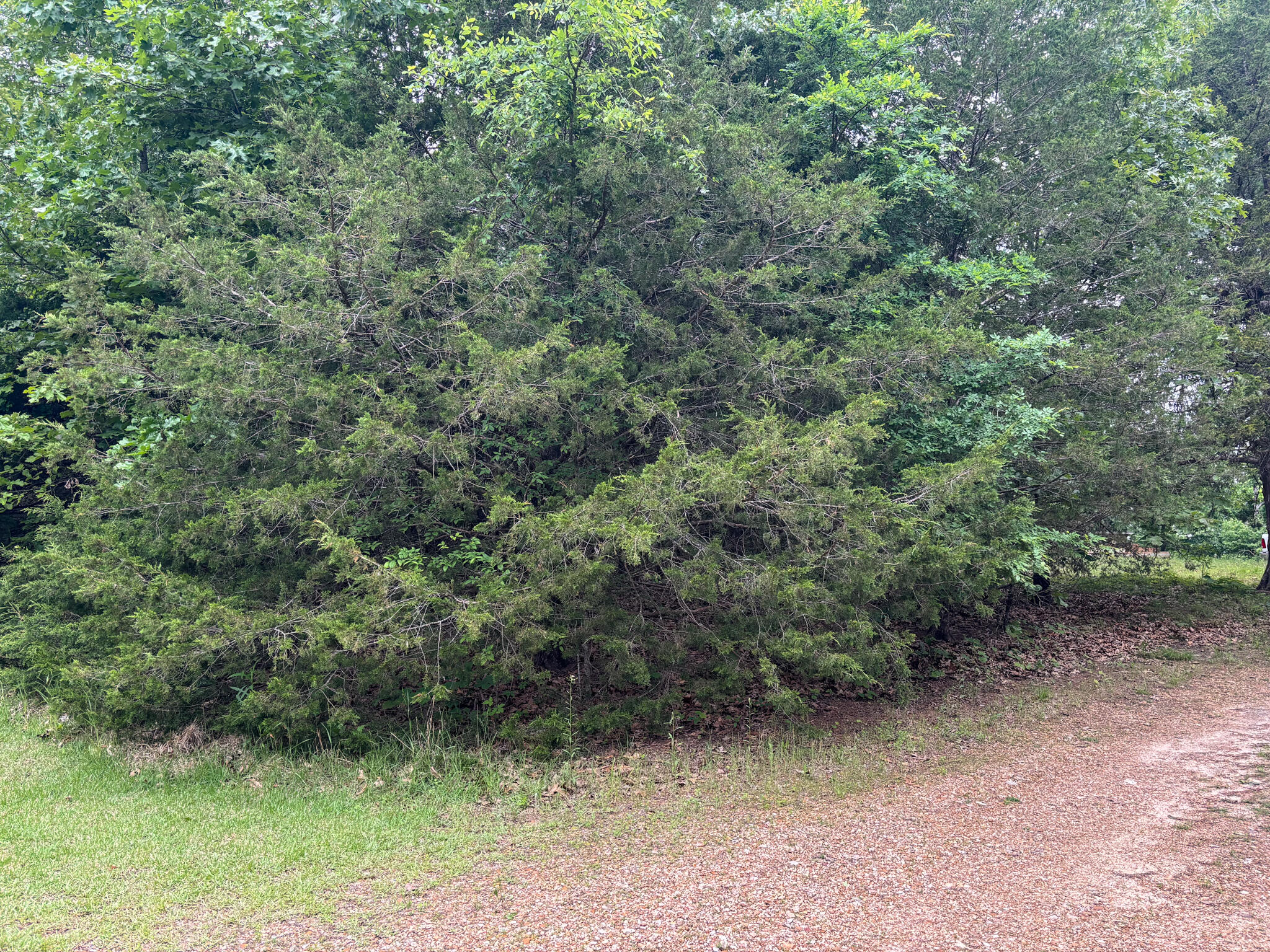 Tbd County Road 635 A Property Photo