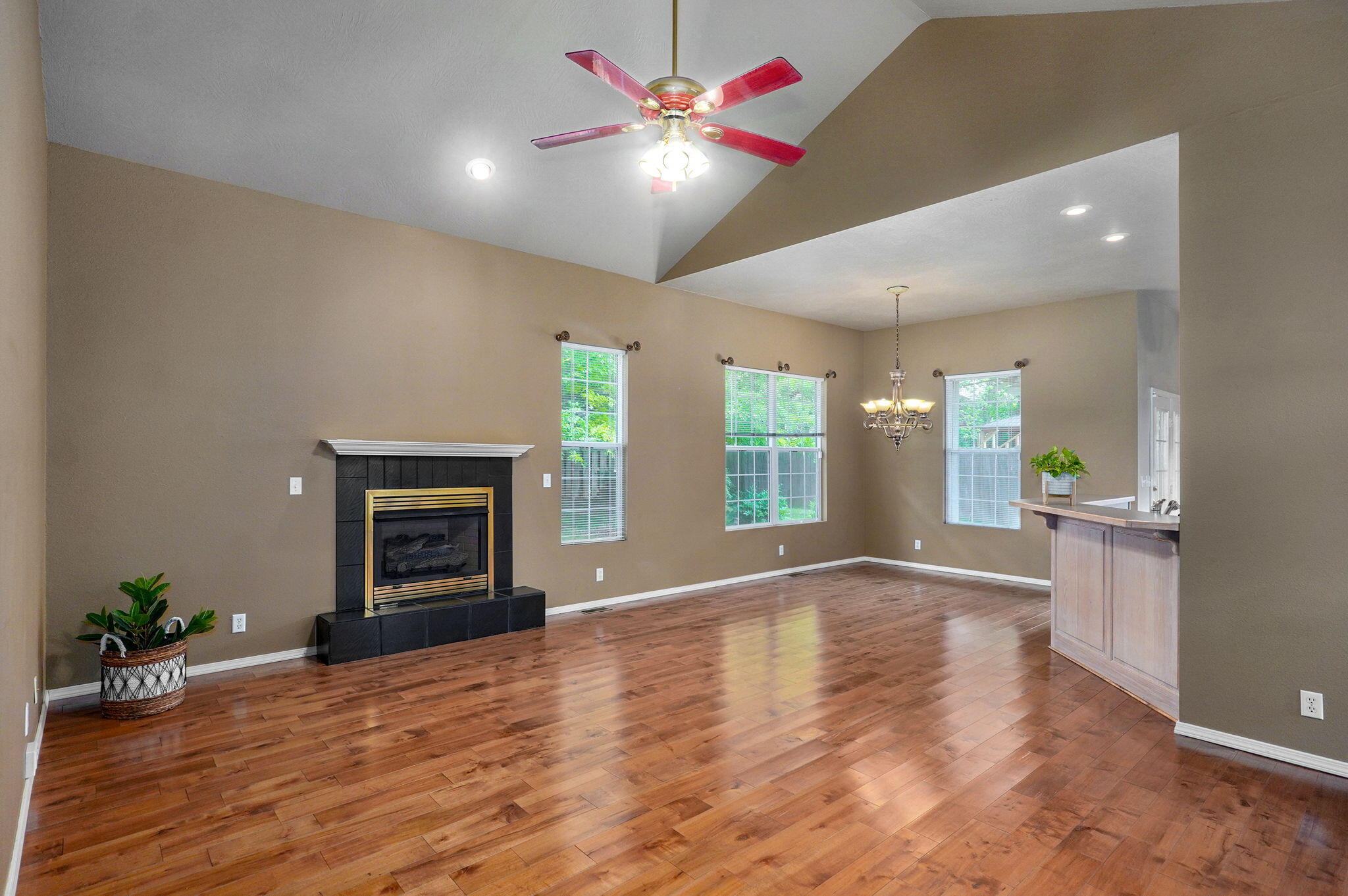 3809 West El Castile Street Property Photo 5