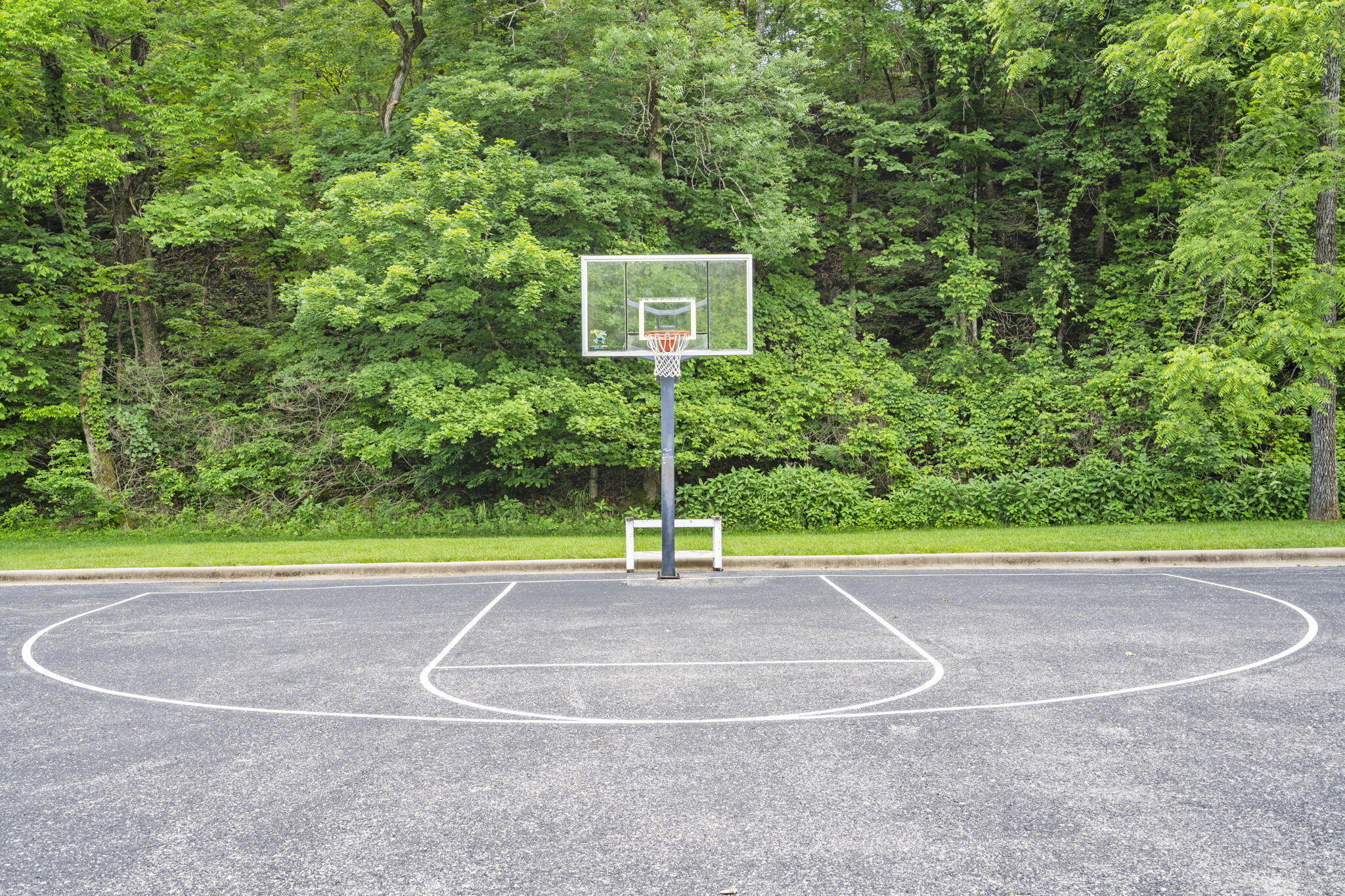 103 Dogwood Court Property Photo 78