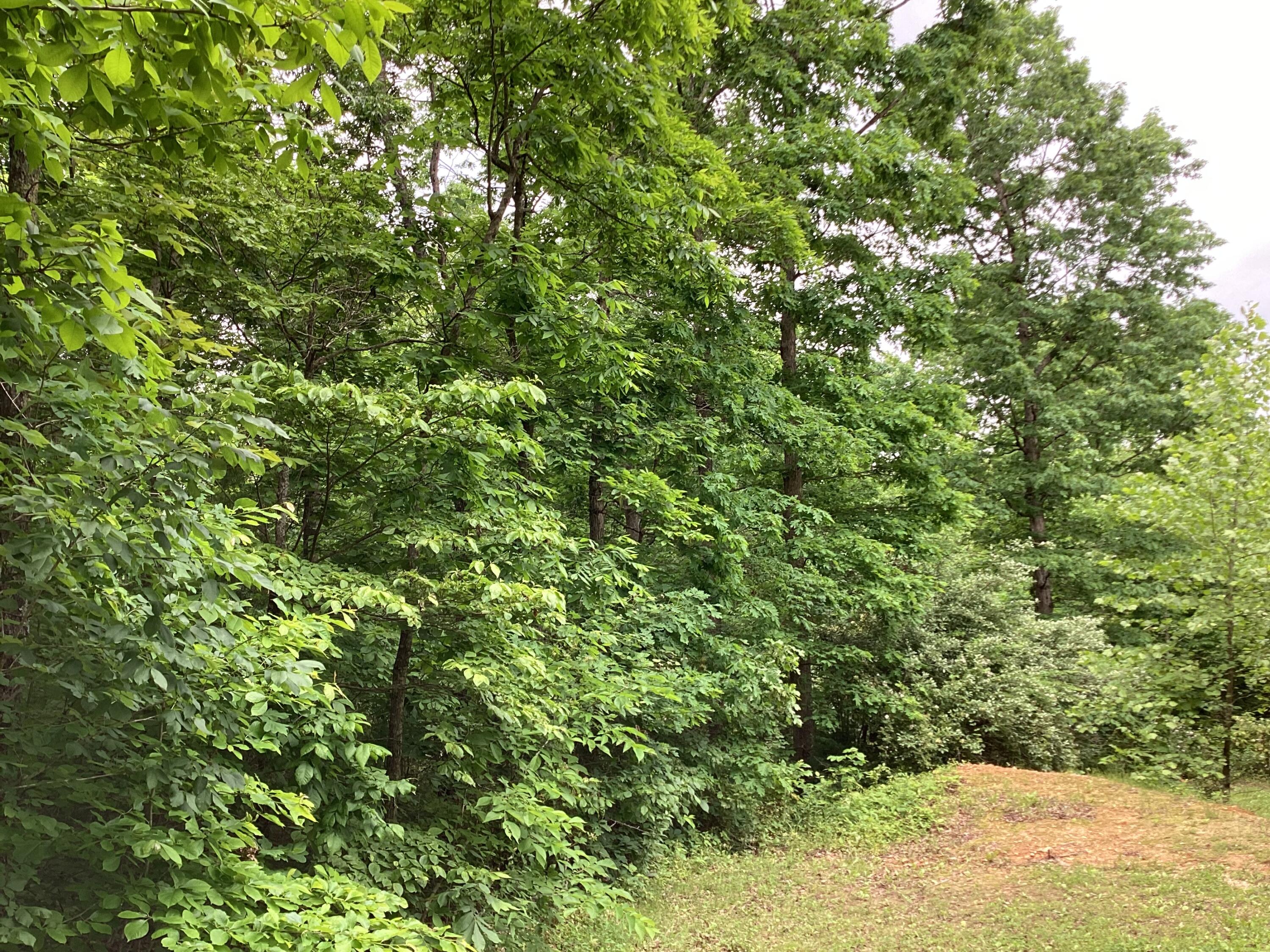 951 County Road 206 Property Photo 48