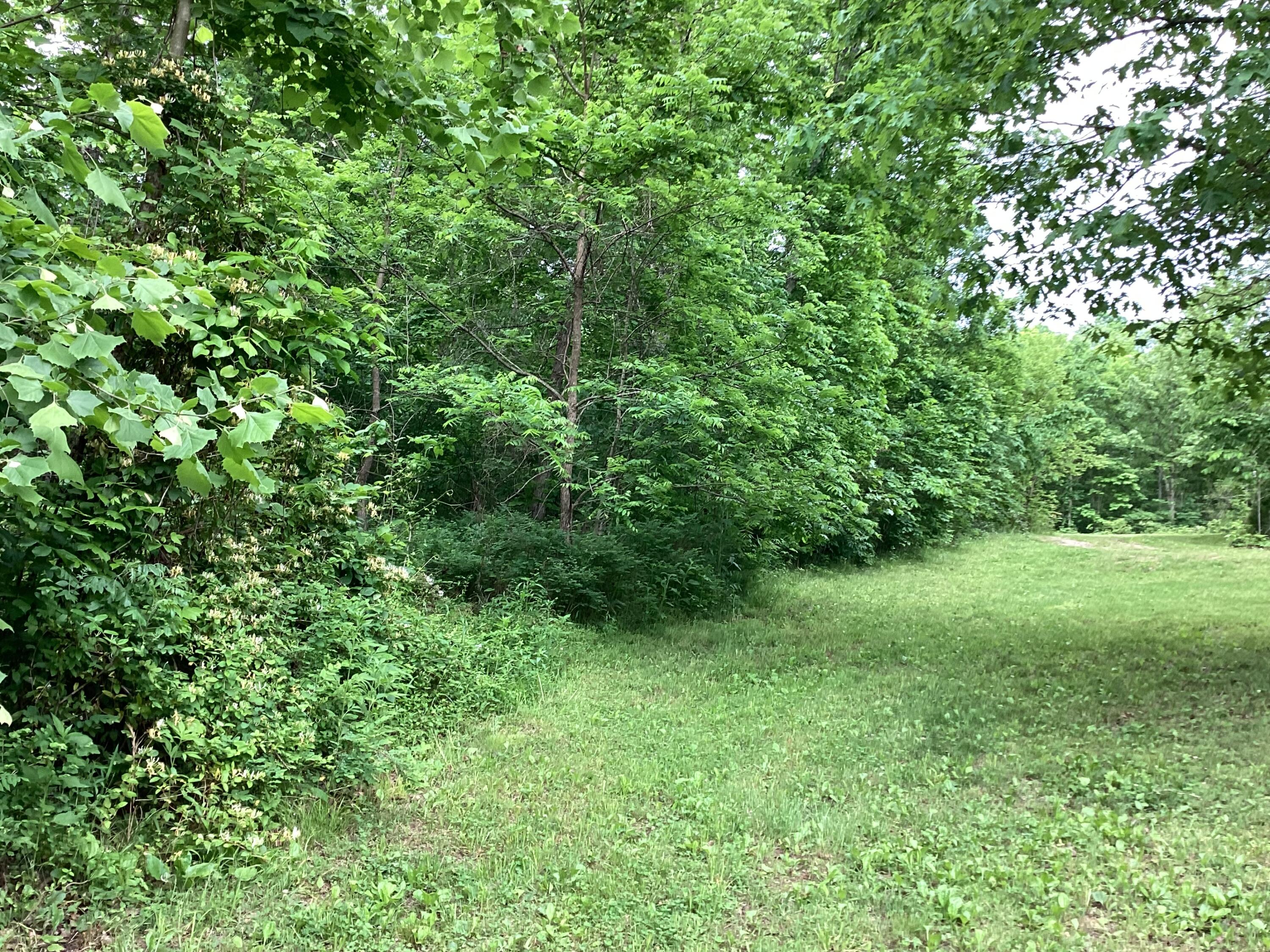 951 County Road 206 Property Photo 51