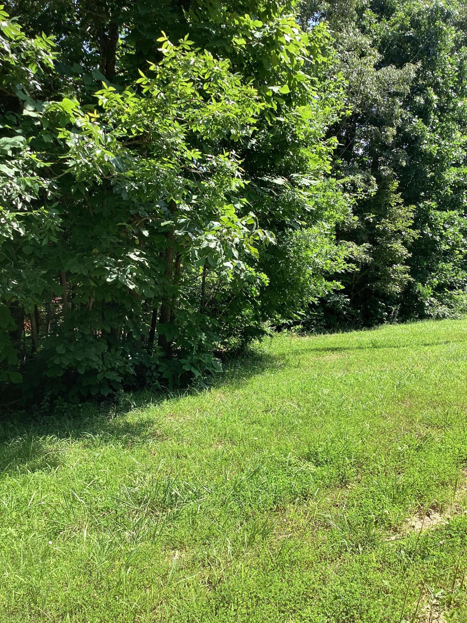 951 County Road 206 Property Photo 53