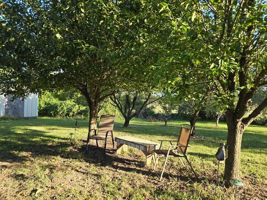 3590 County Road 7140 Property Photo 32