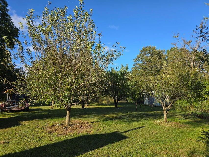 3590 County Road 7140 Property Photo 34