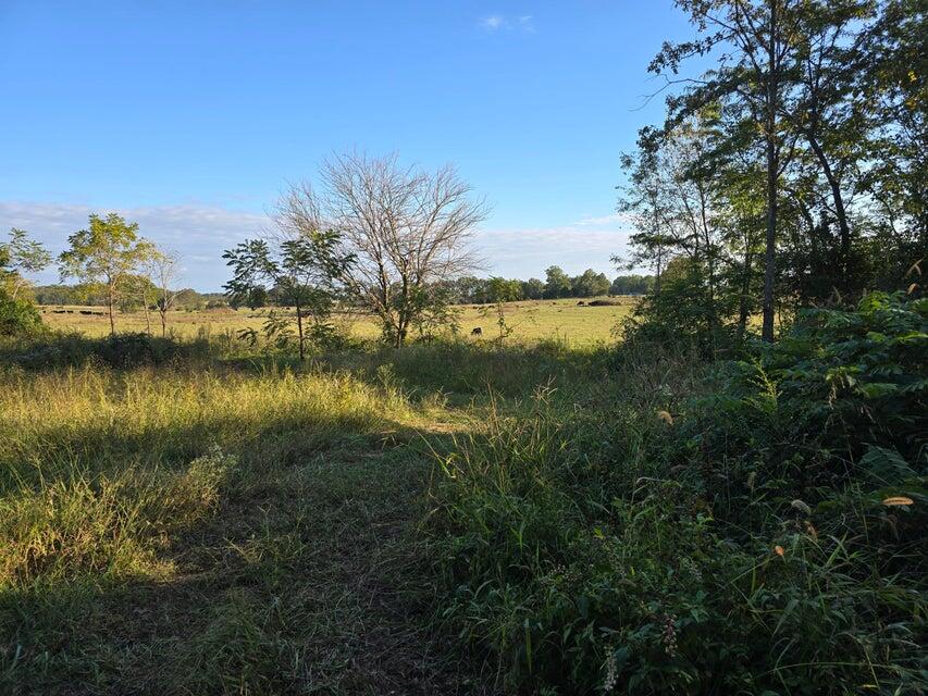 3590 County Road 7140 Property Photo 43