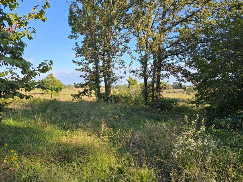 3590 County Road 7140 Property Photo 44