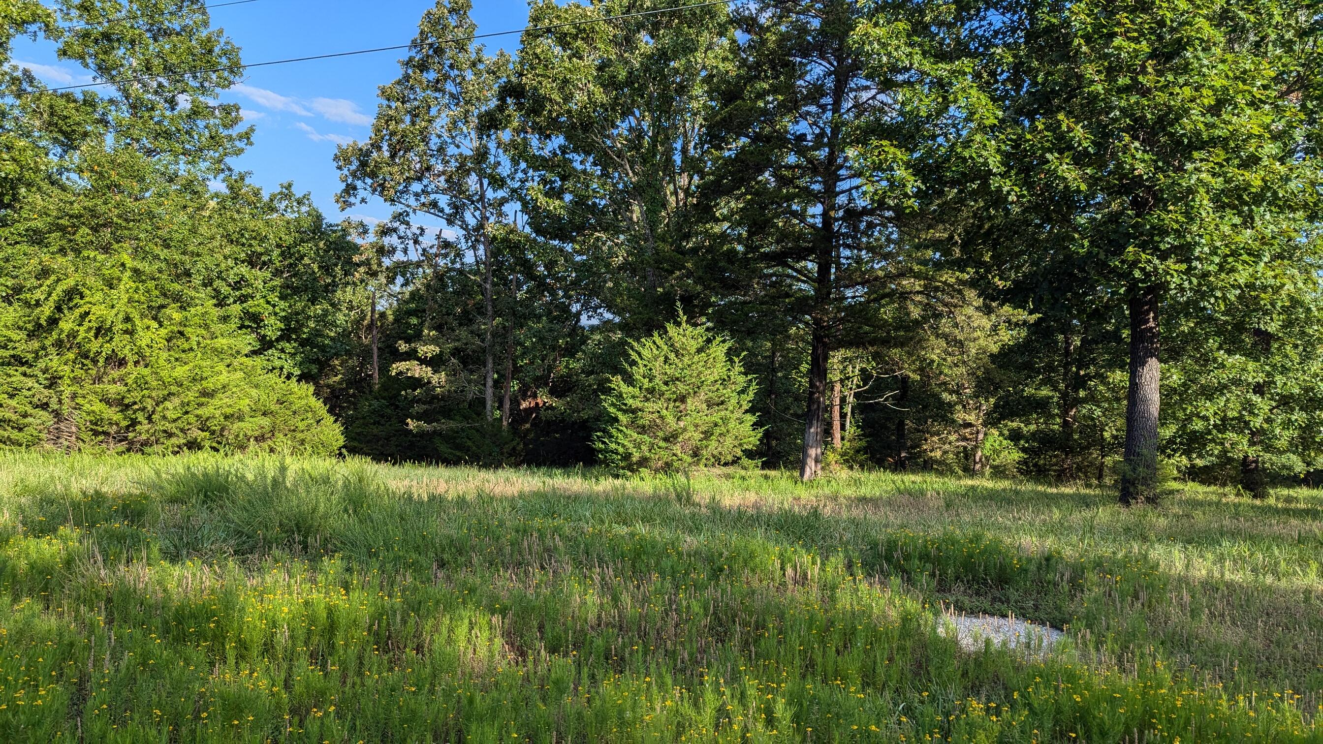 1145 Lake Point Road Property Photo