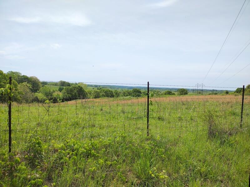 616 Beryl Road Property Photo 10