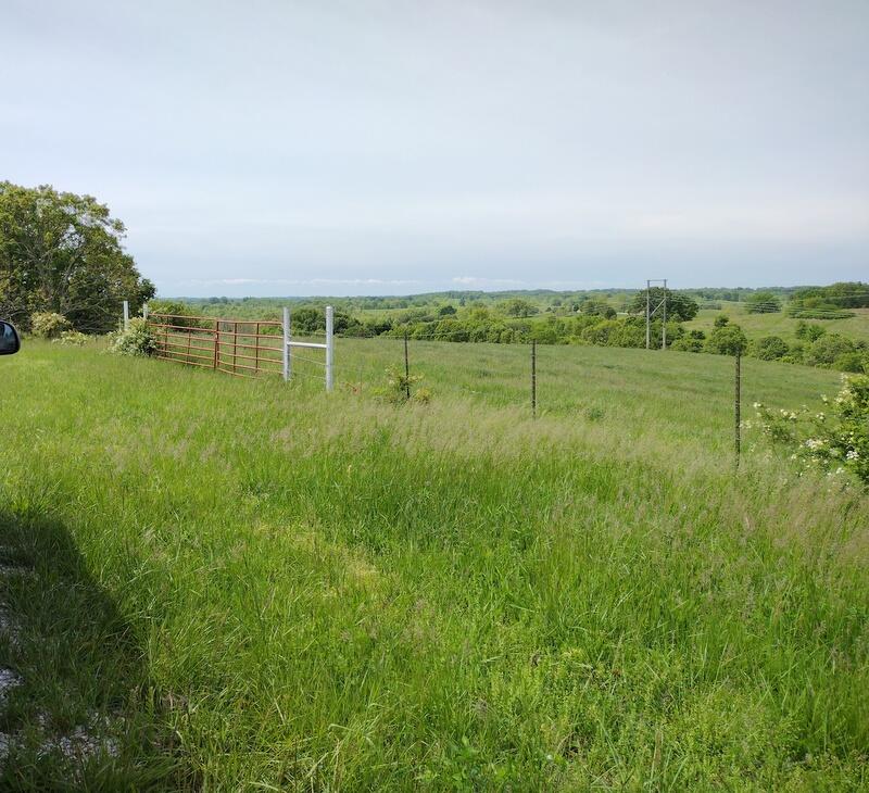 616 Beryl Road Property Photo 13