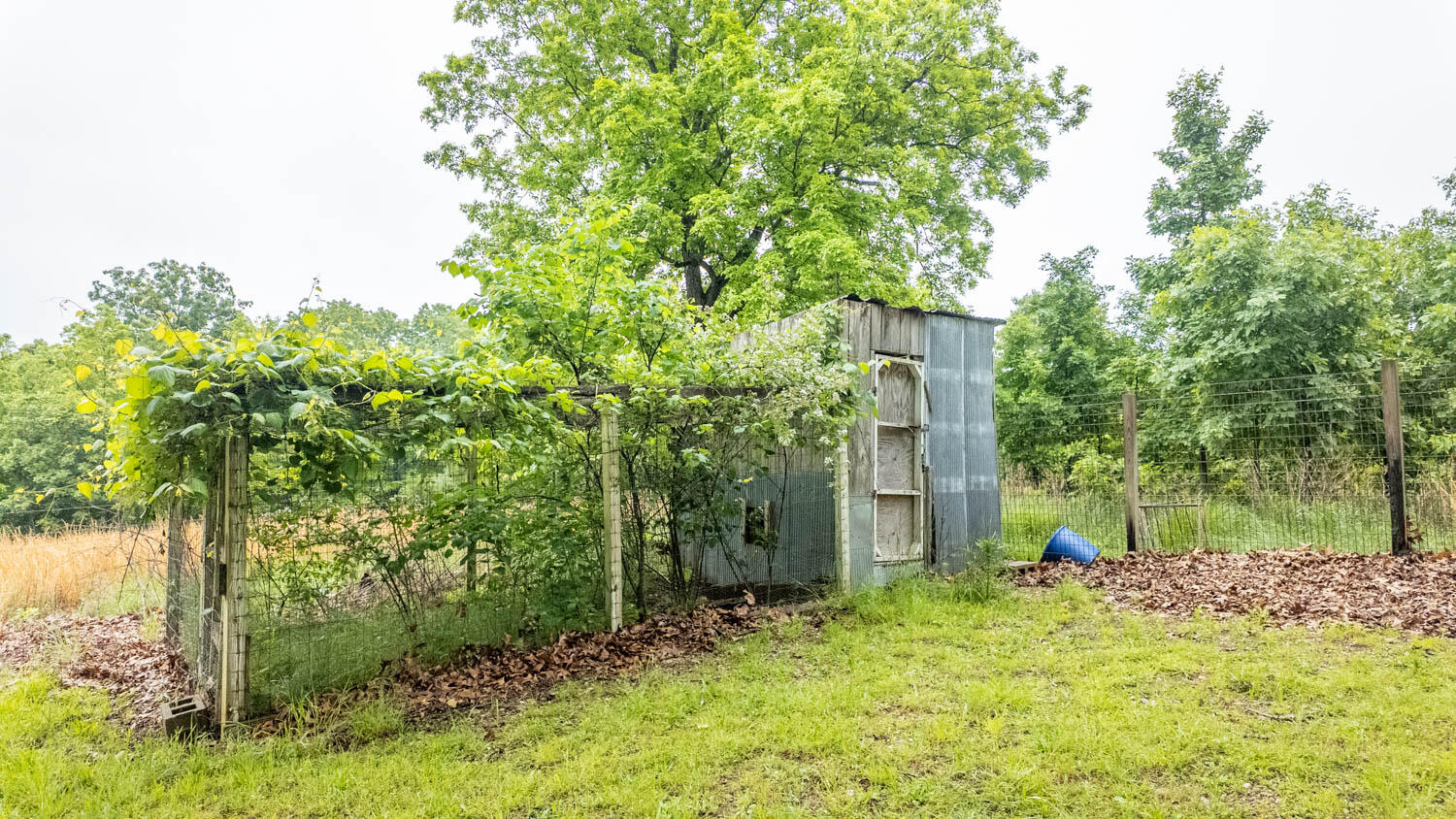 742 County Road 302 Property Photo 13