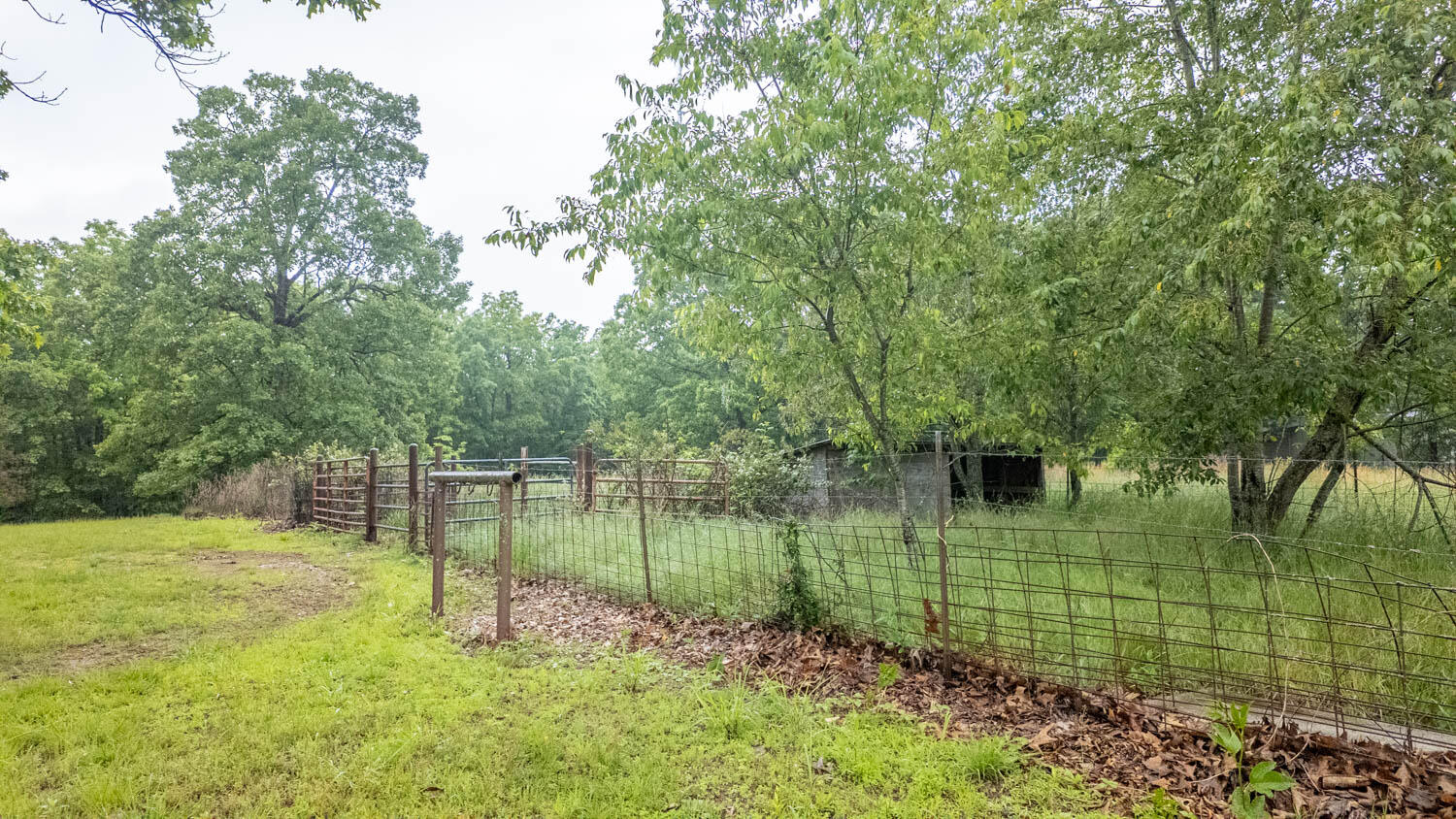 742 County Road 302 Property Photo 36