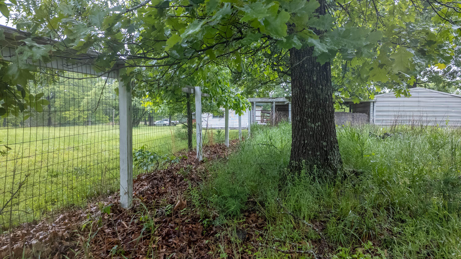 742 County Road 302 Property Photo 40