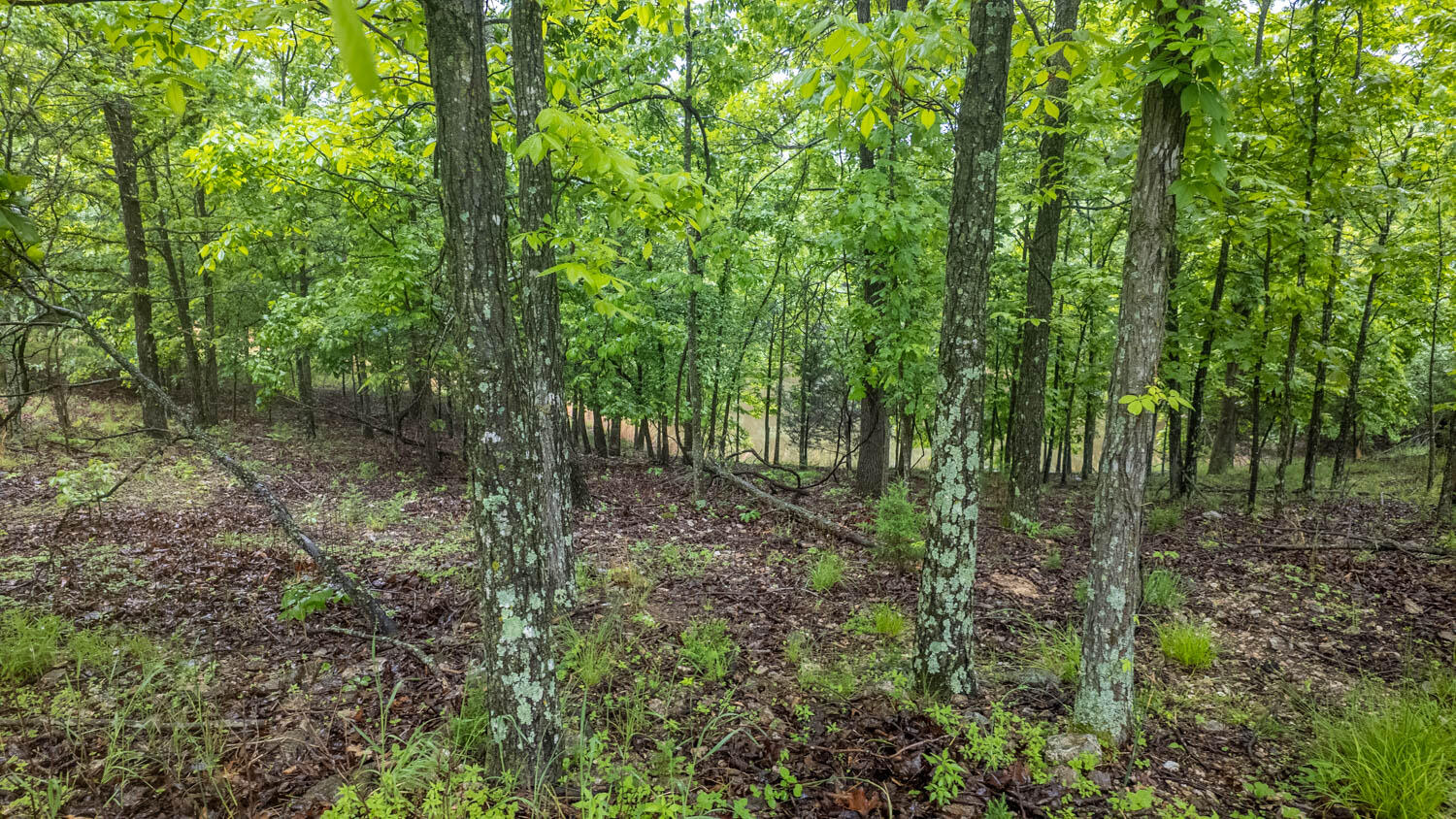 742 County Road 302 Property Photo 41