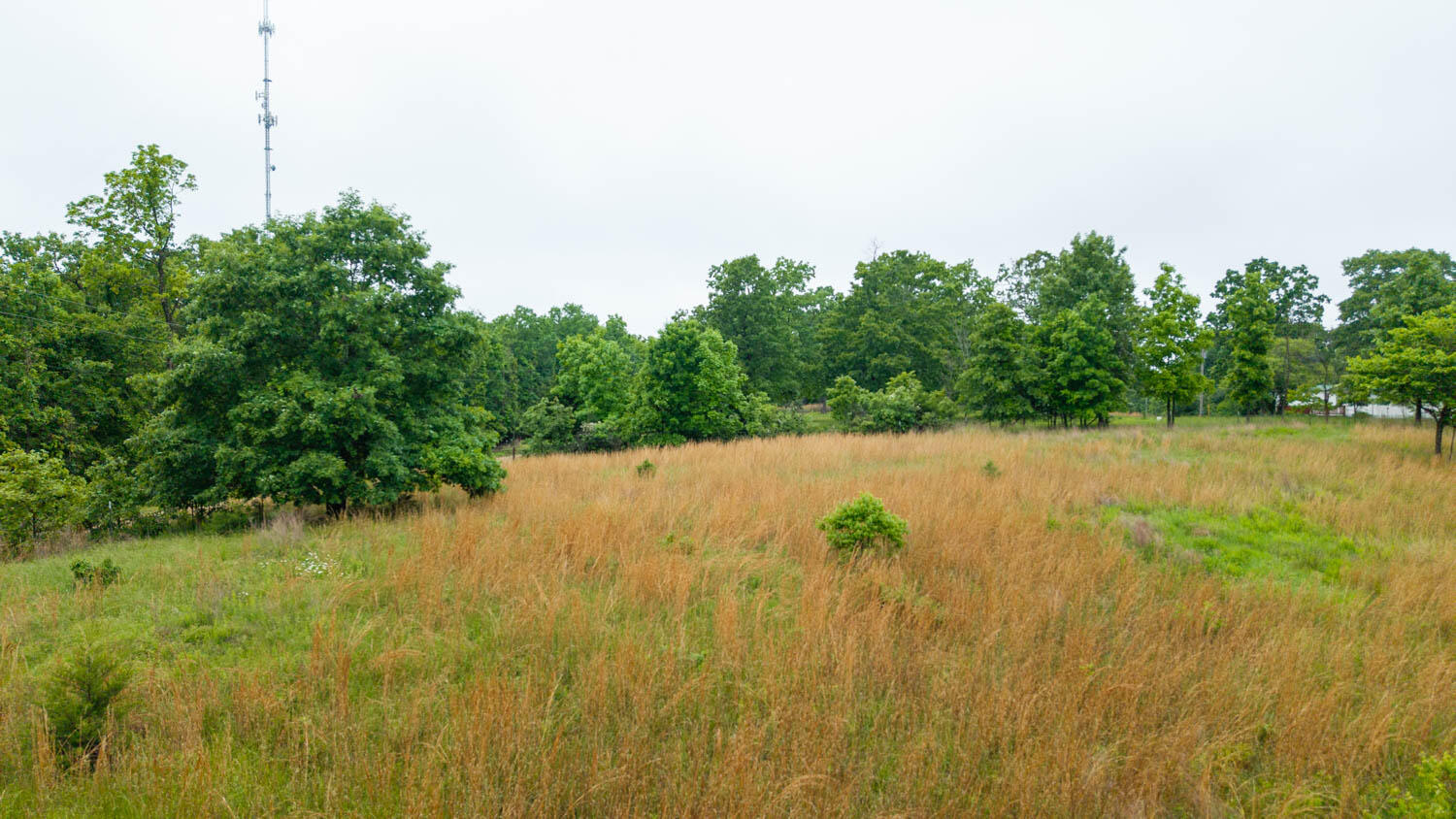 000 County Road 302 Property Photo