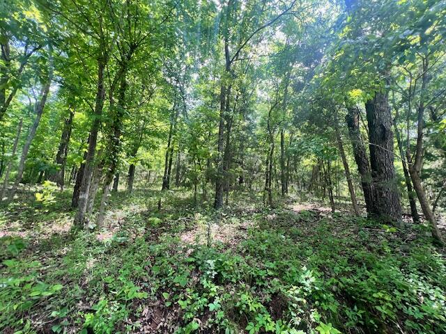 Tbd Missouri Line Road Property Photo