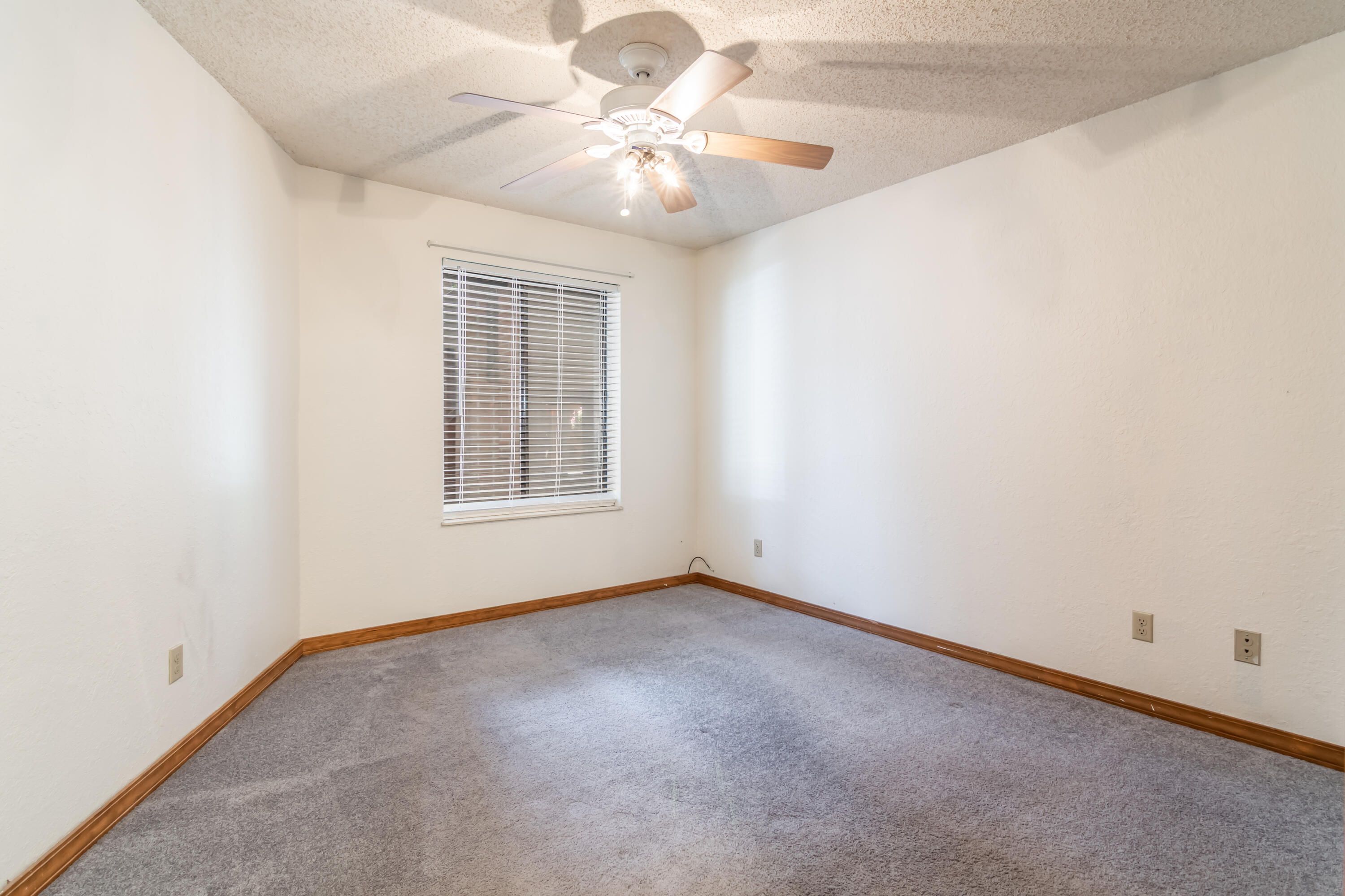 150 Sunken Forest Dr. Property Photo 14