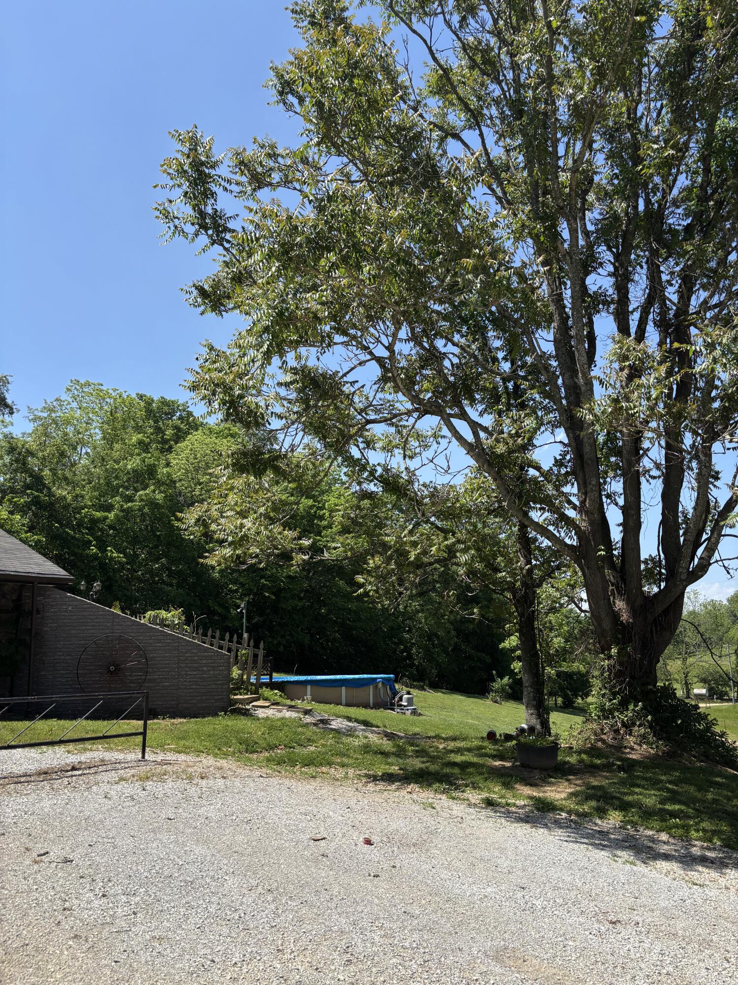 348 Holt Springs Rd Road Property Photo 10