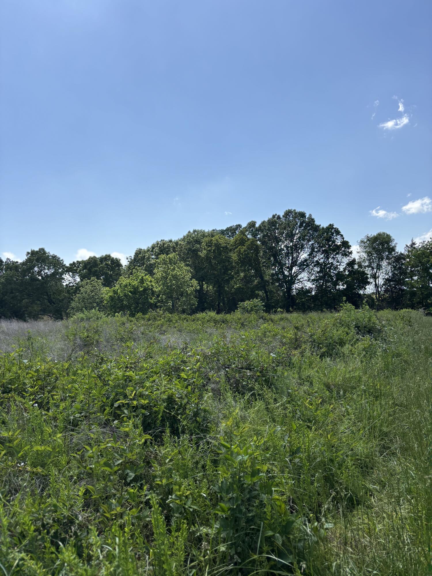 348 Holt Springs Rd Road Property Photo 41