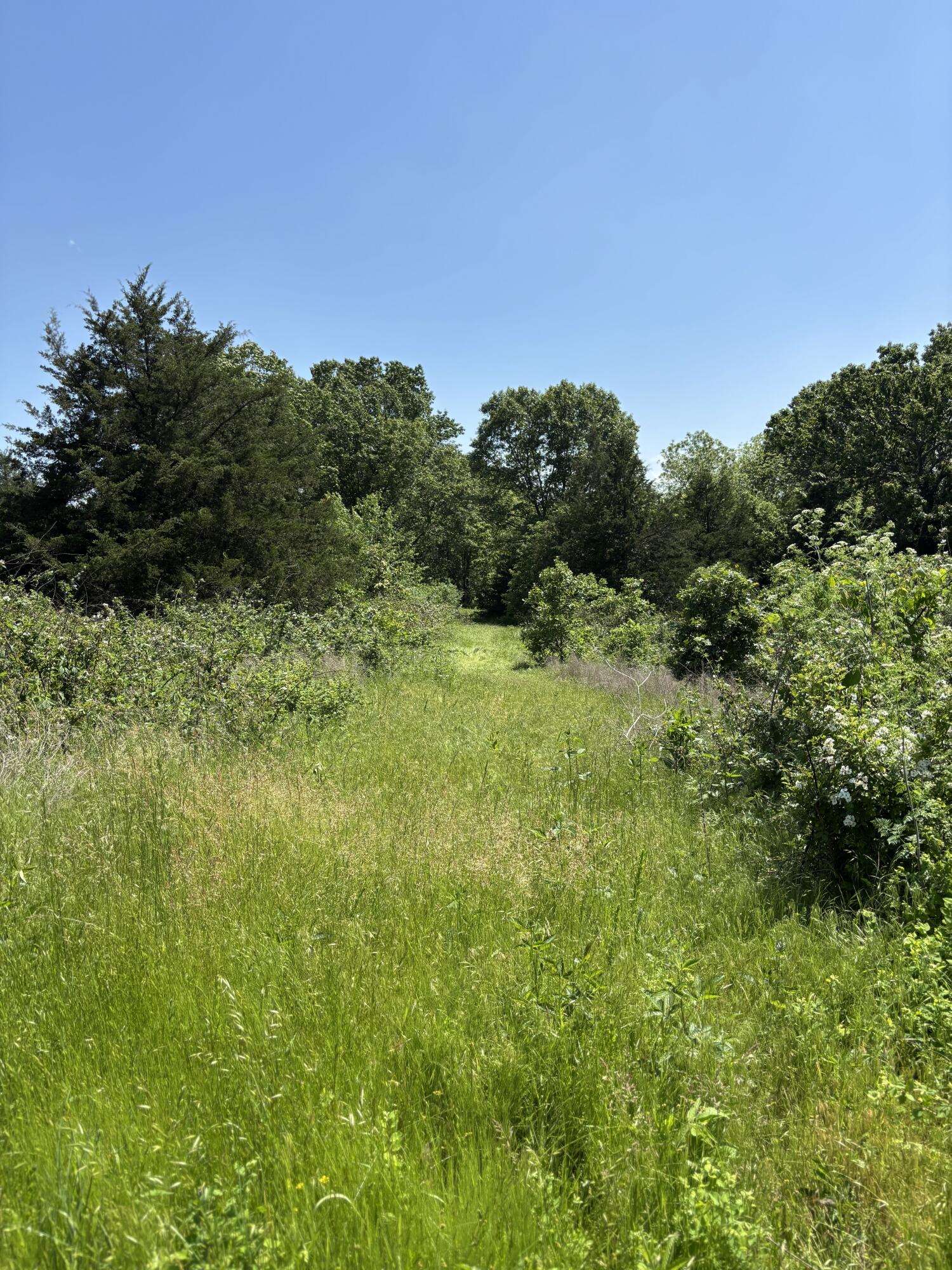 348 Holt Springs Rd Road Property Photo 42