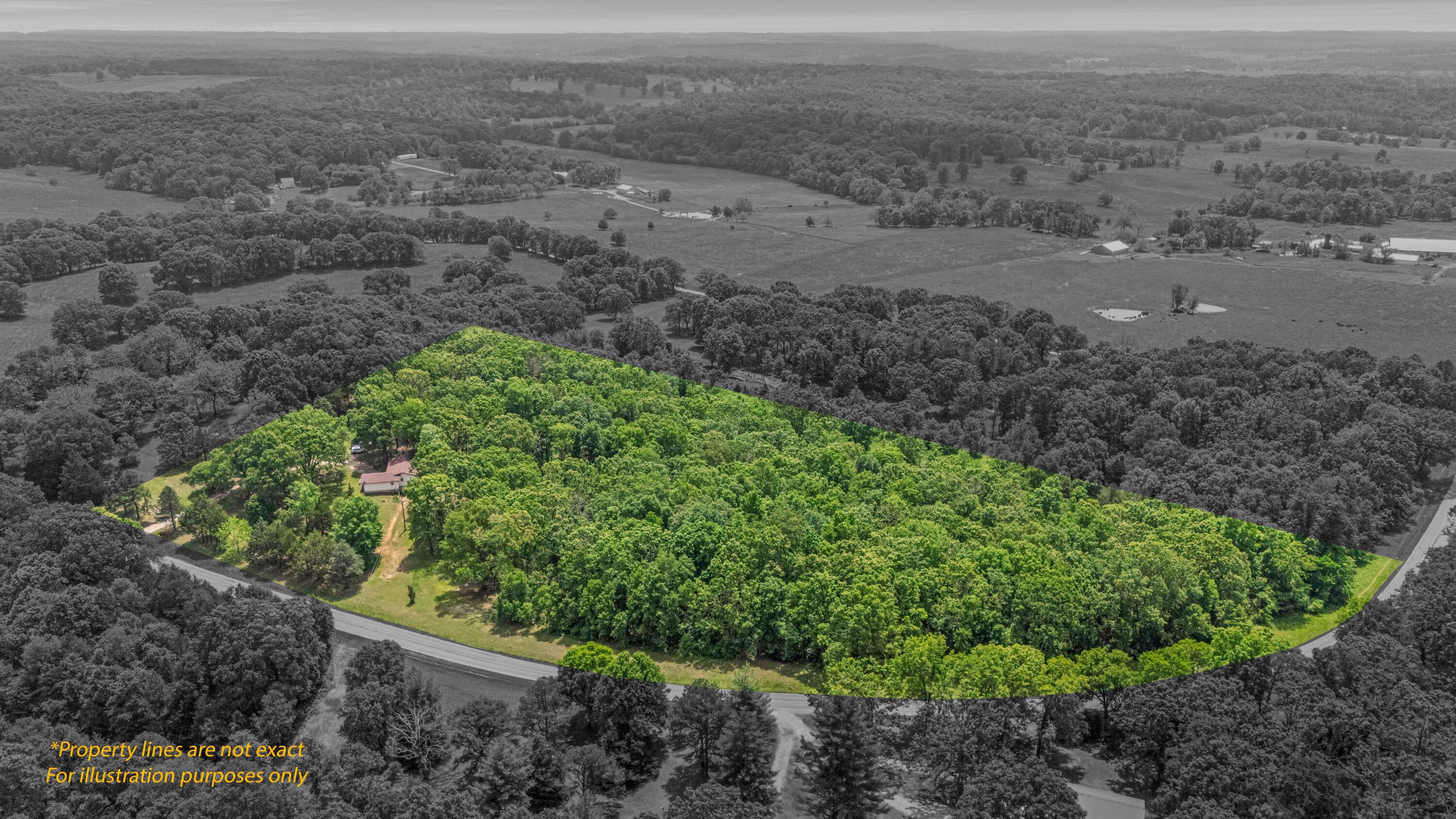 1402 State Rte K Property Photo 37