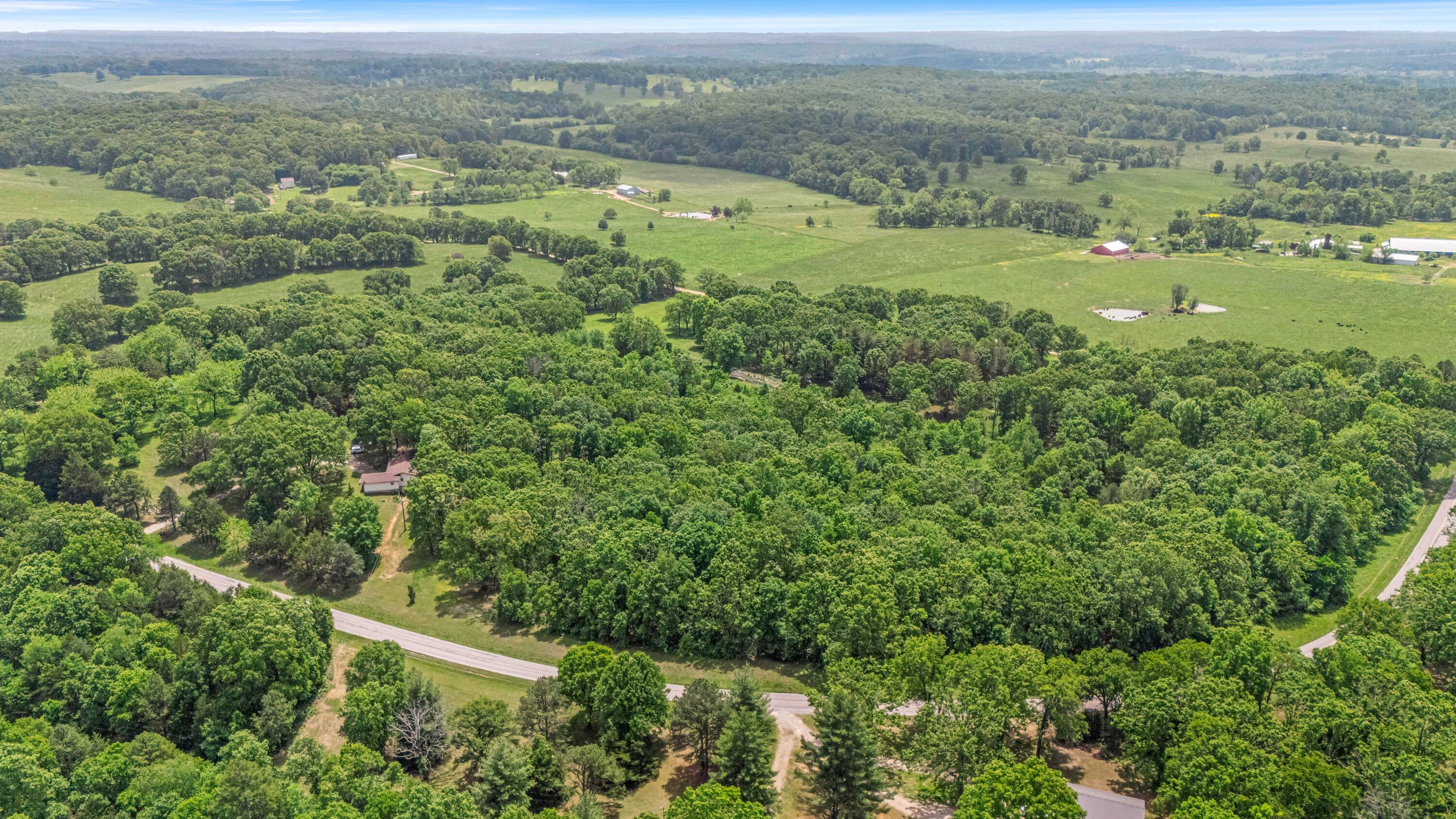 1402 State Rte K Property Photo 39