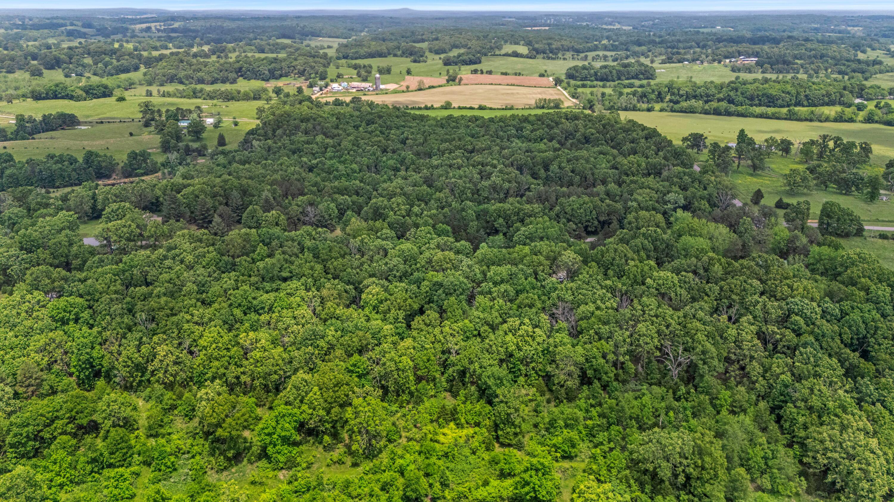 1402 State Rte K Property Photo 43