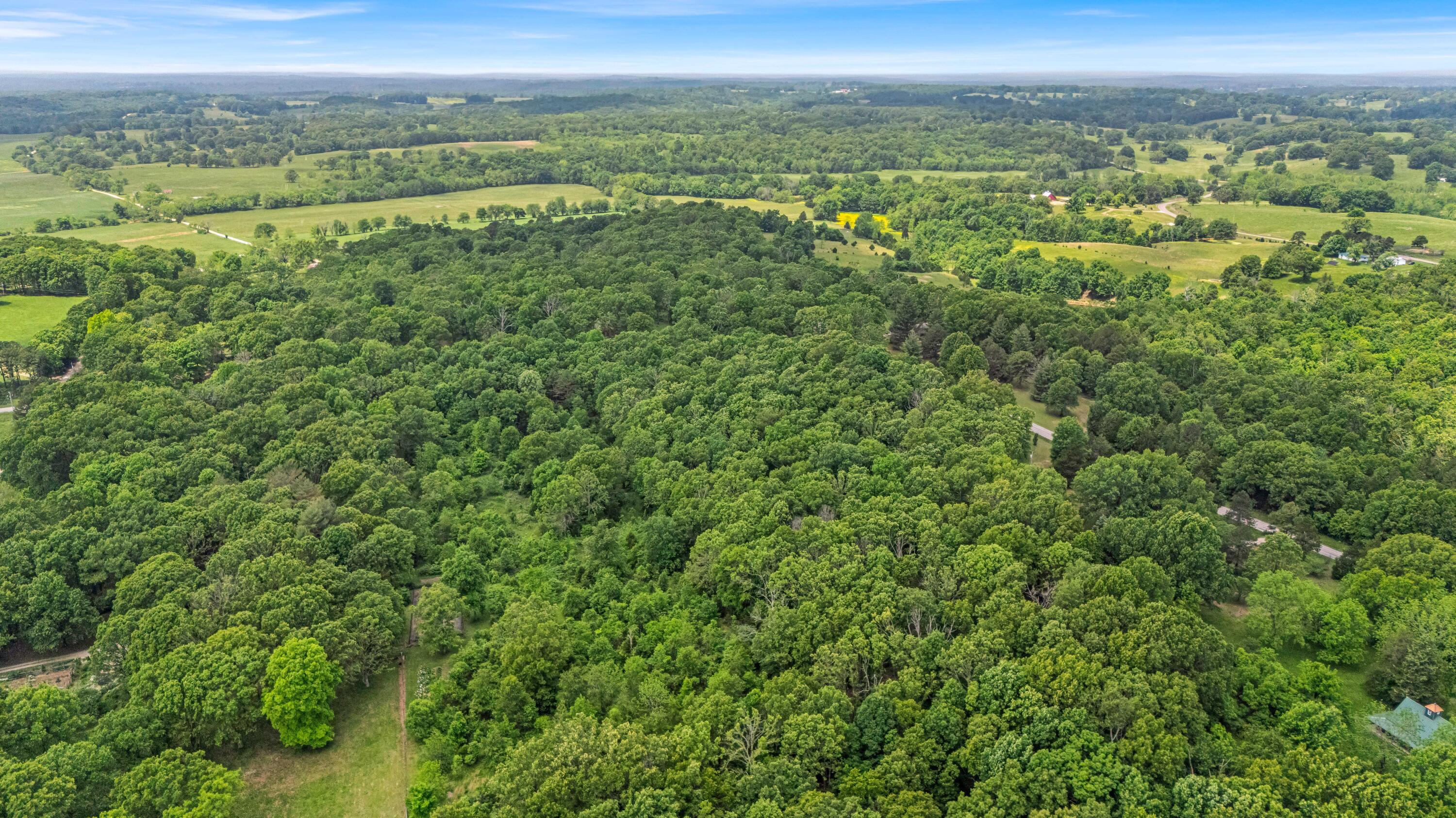 1402 State Rte K Property Photo 44
