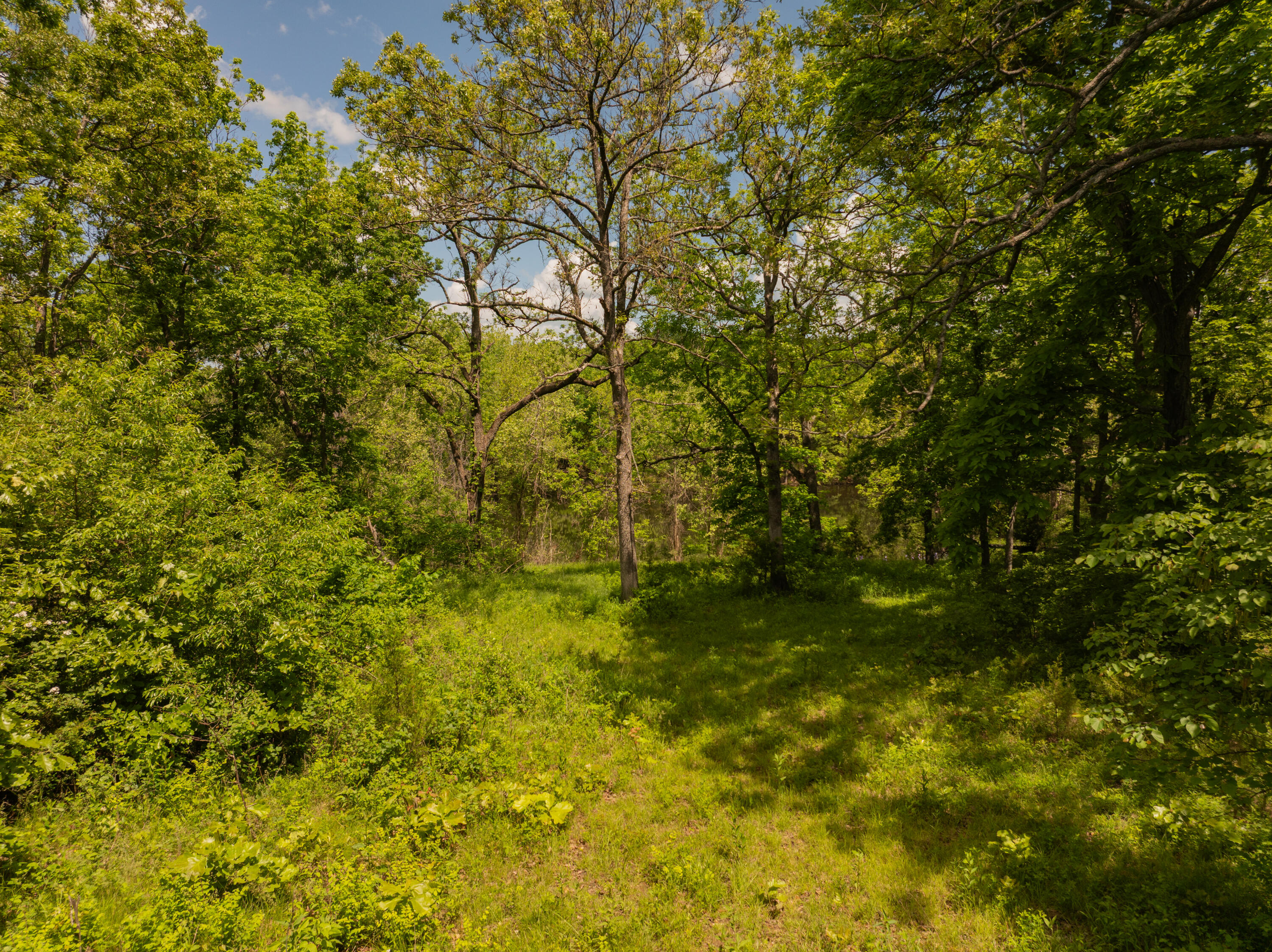 14155 State Hwy T Property Photo 30