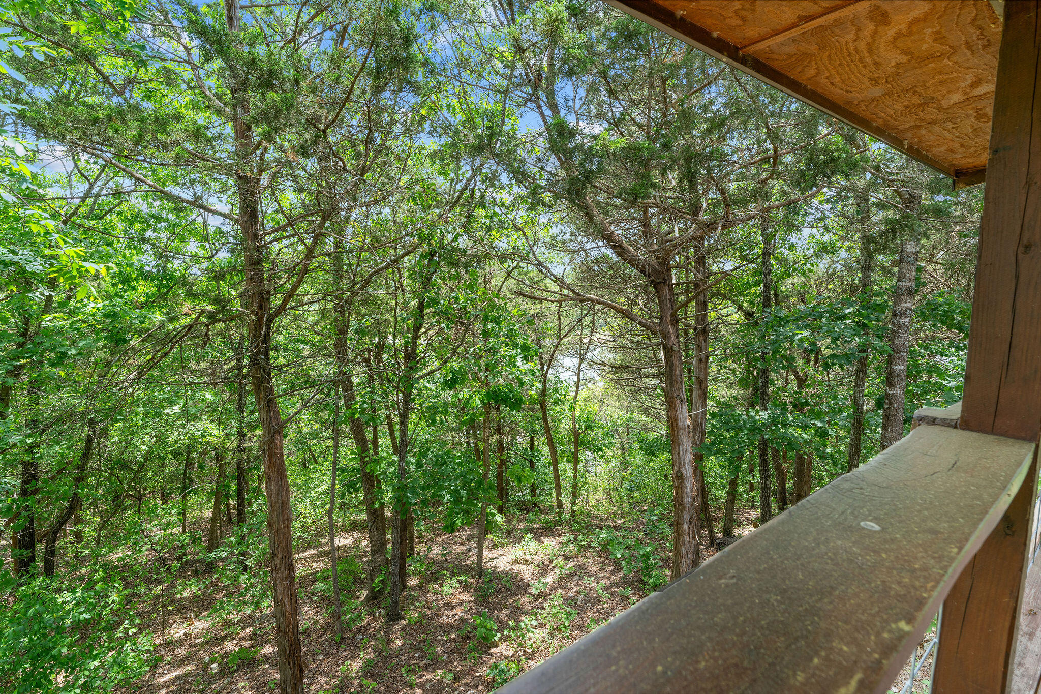 25525 Farm Road 2265 Property Photo 23