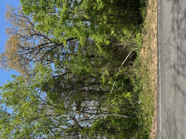 185 Julie Lane Property Photo