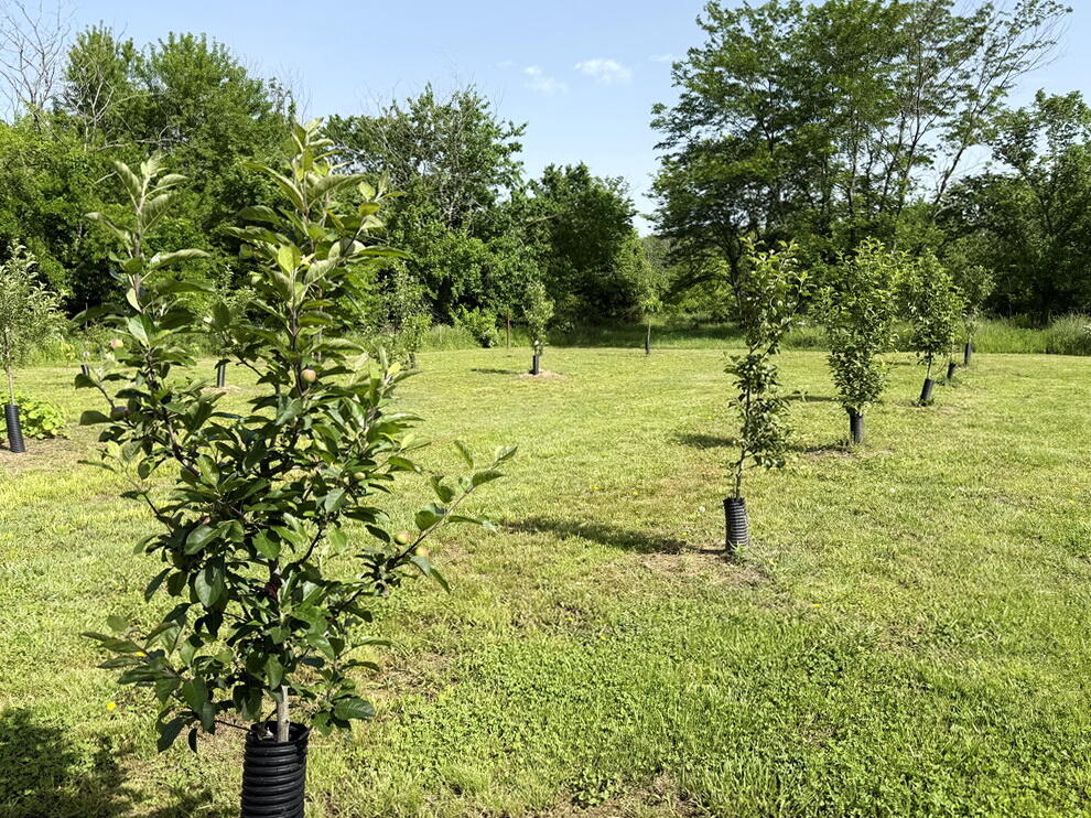 30285 East Pawhuska Road Property Photo 44