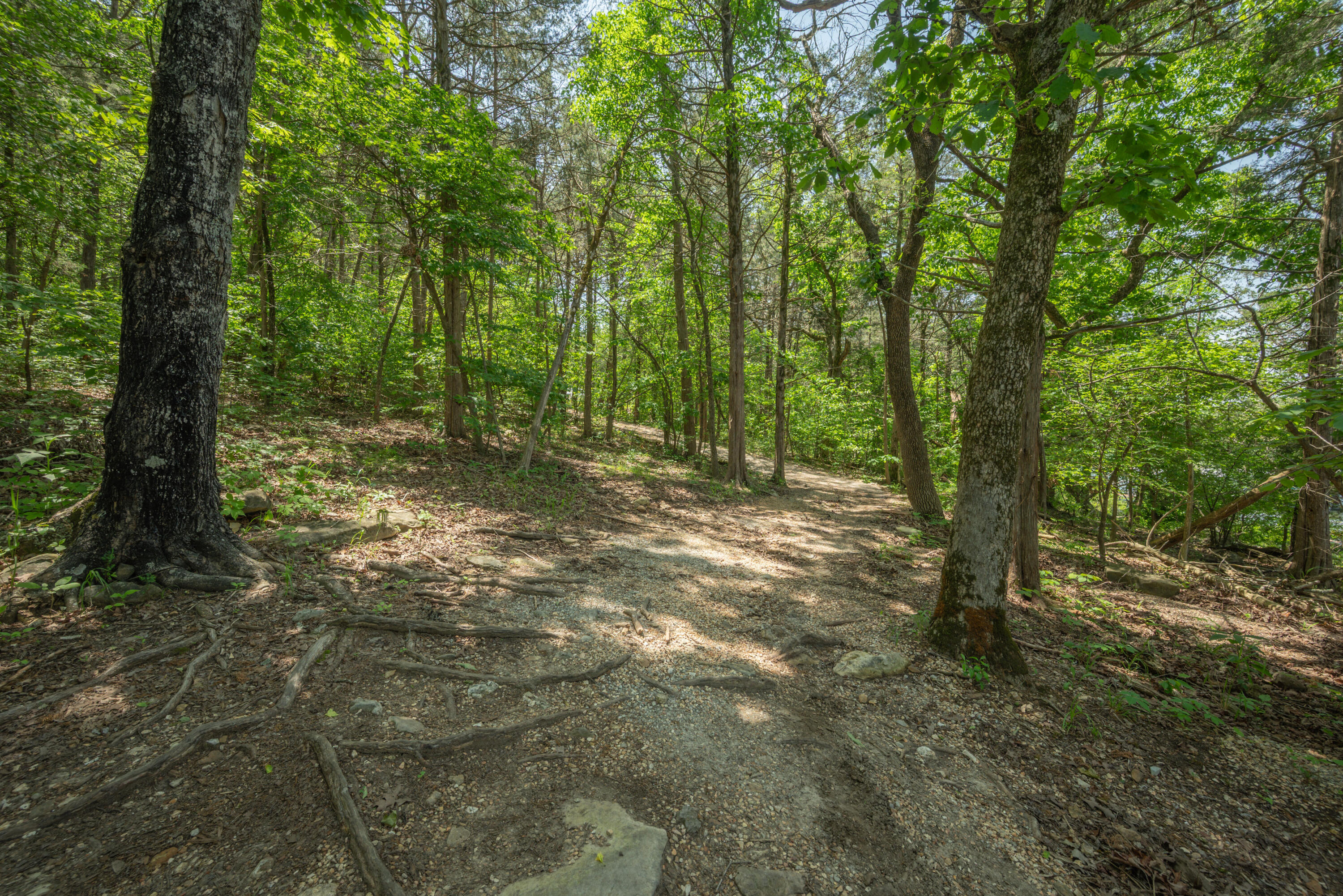 28827 Farm Road 1250 Property Photo 26