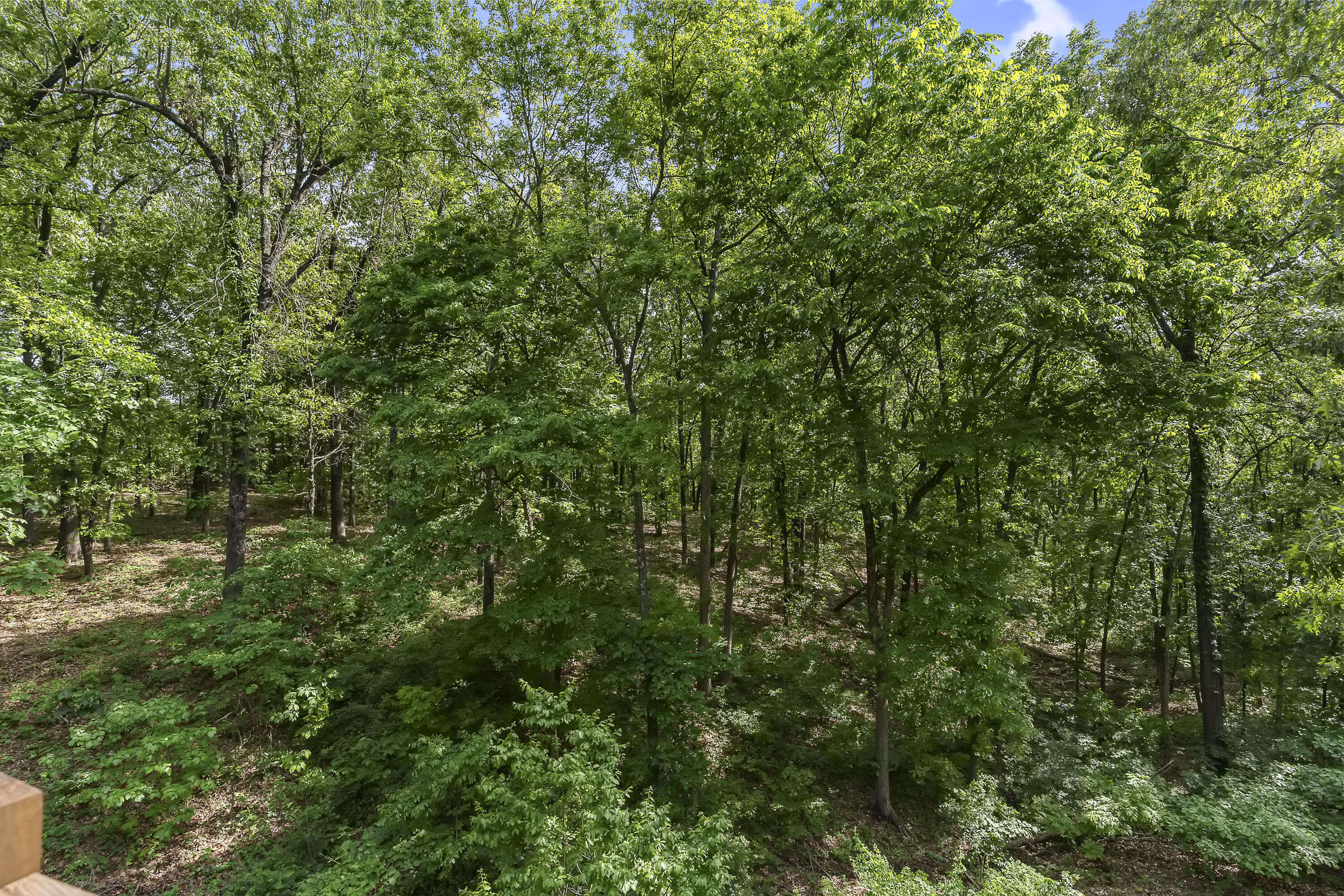 45 Stone Ridge Court Property Photo 57