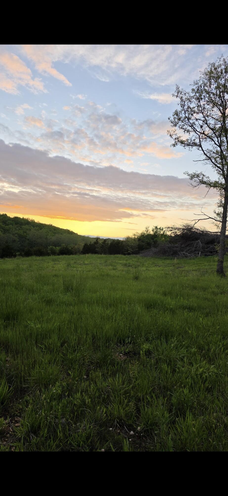 000 State Highway Mm Property Photo 4