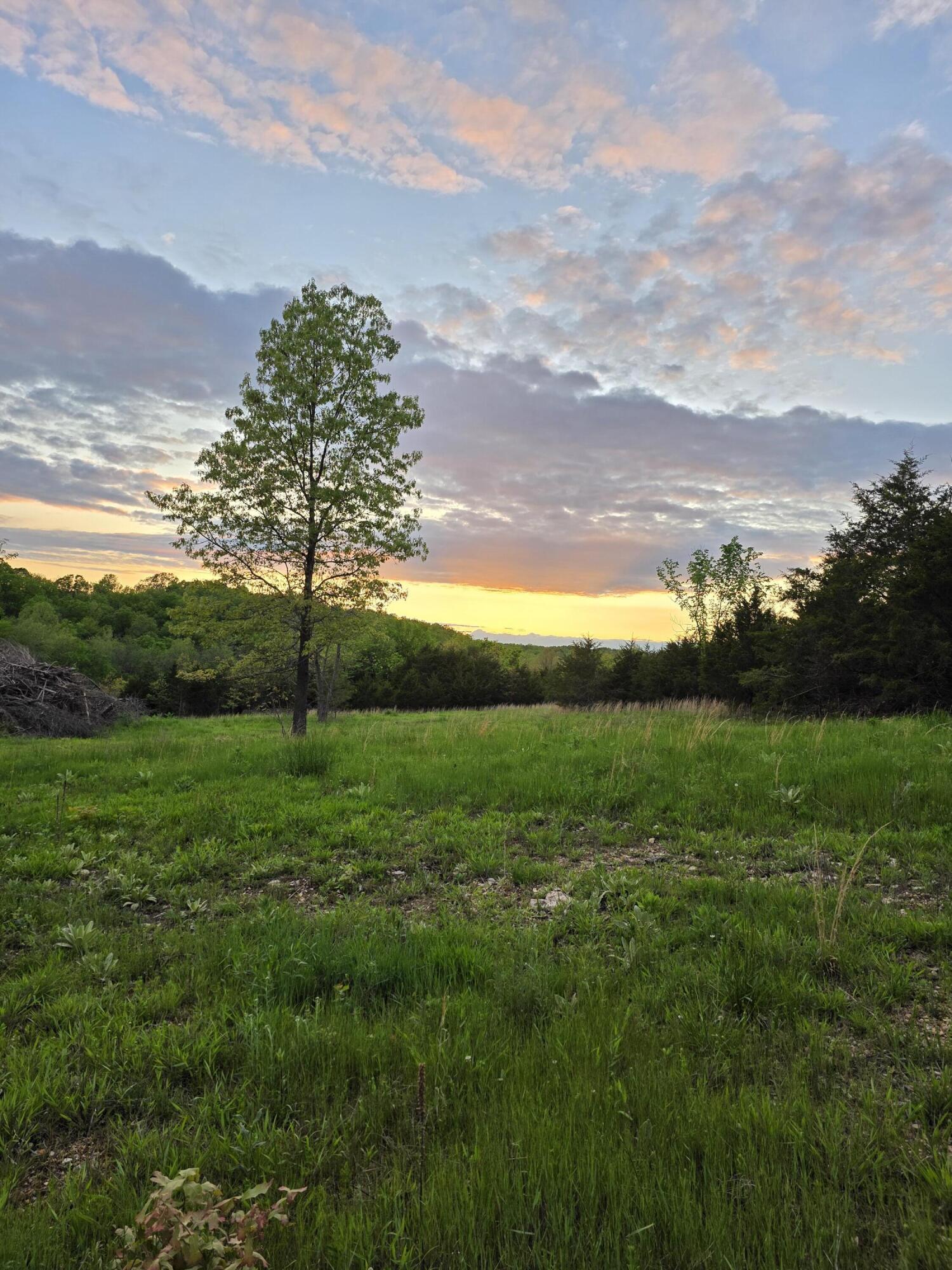 000 State Highway Mm Property Photo 5