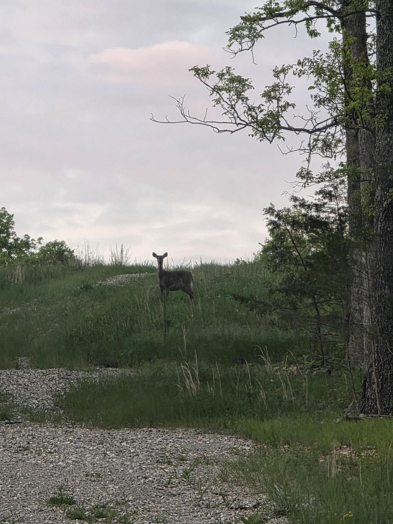 000 State Highway Mm Property Photo 7