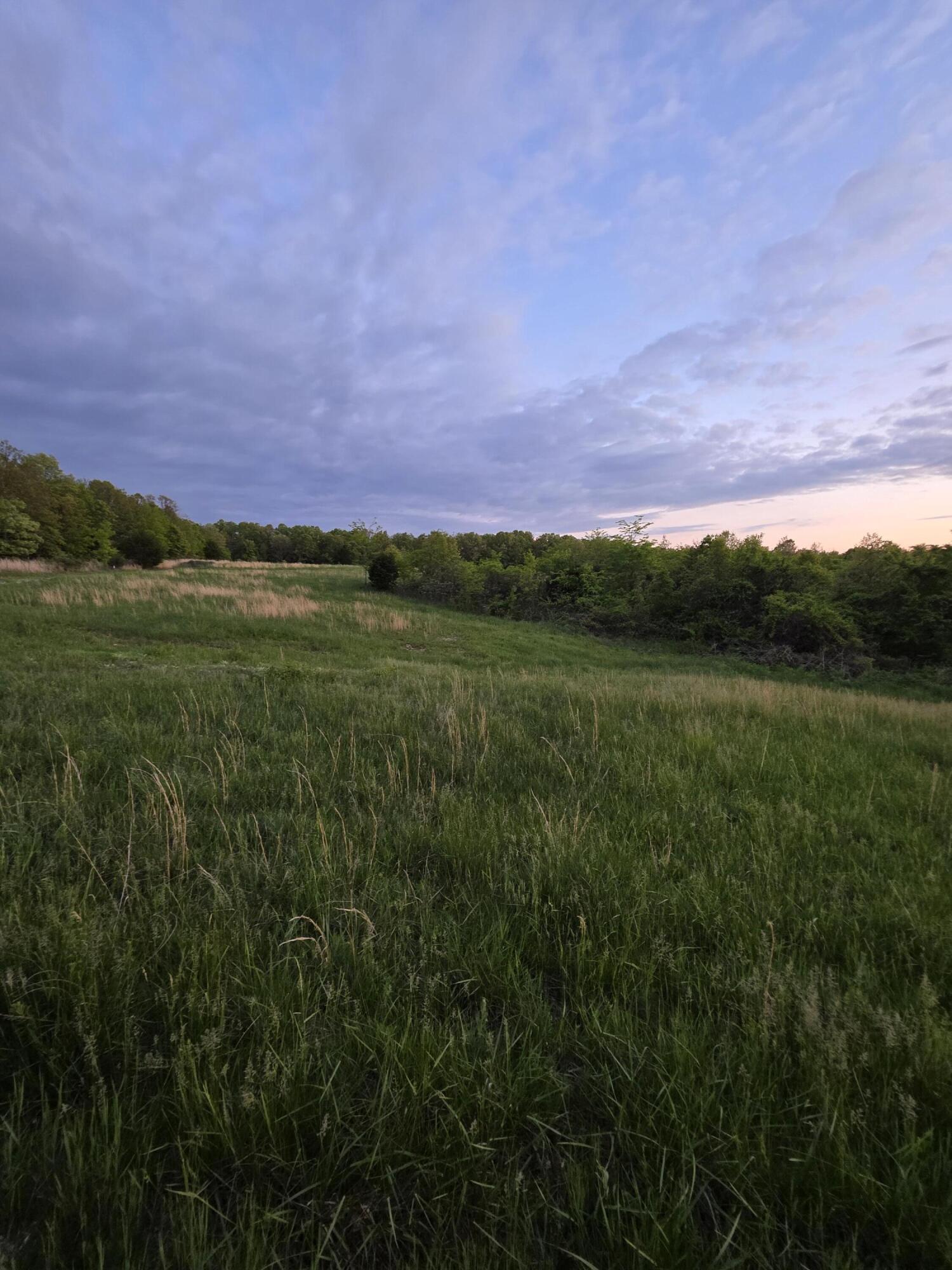 000 State Highway Mm Property Photo 13