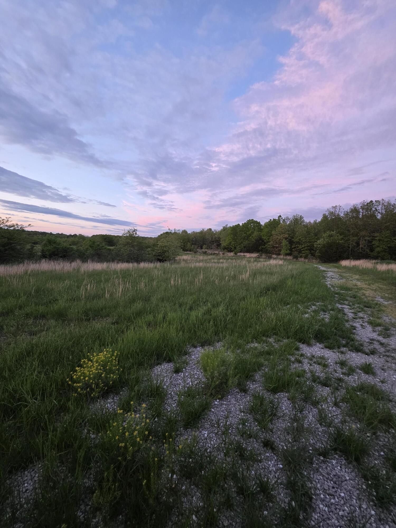 000 State Highway Mm Property Photo 14