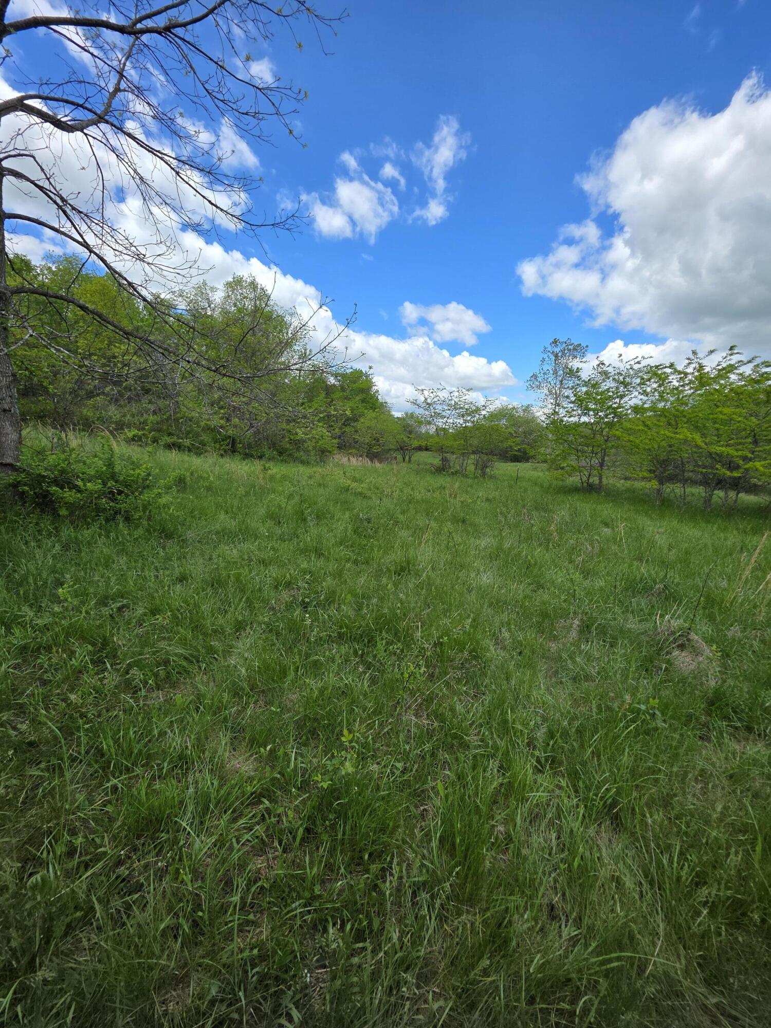 000 State Highway Mm Property Photo 17