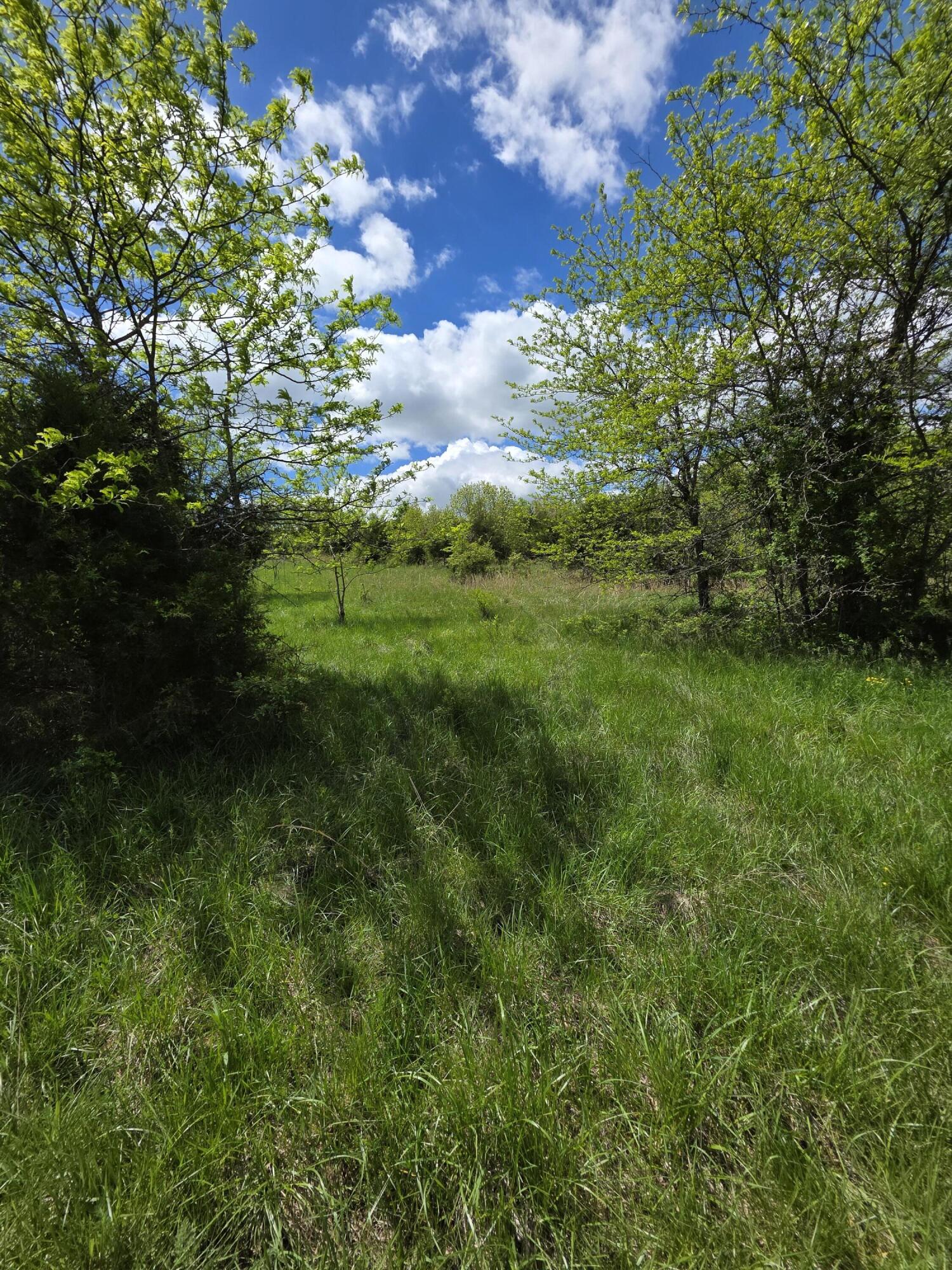 000 State Highway Mm Property Photo 18