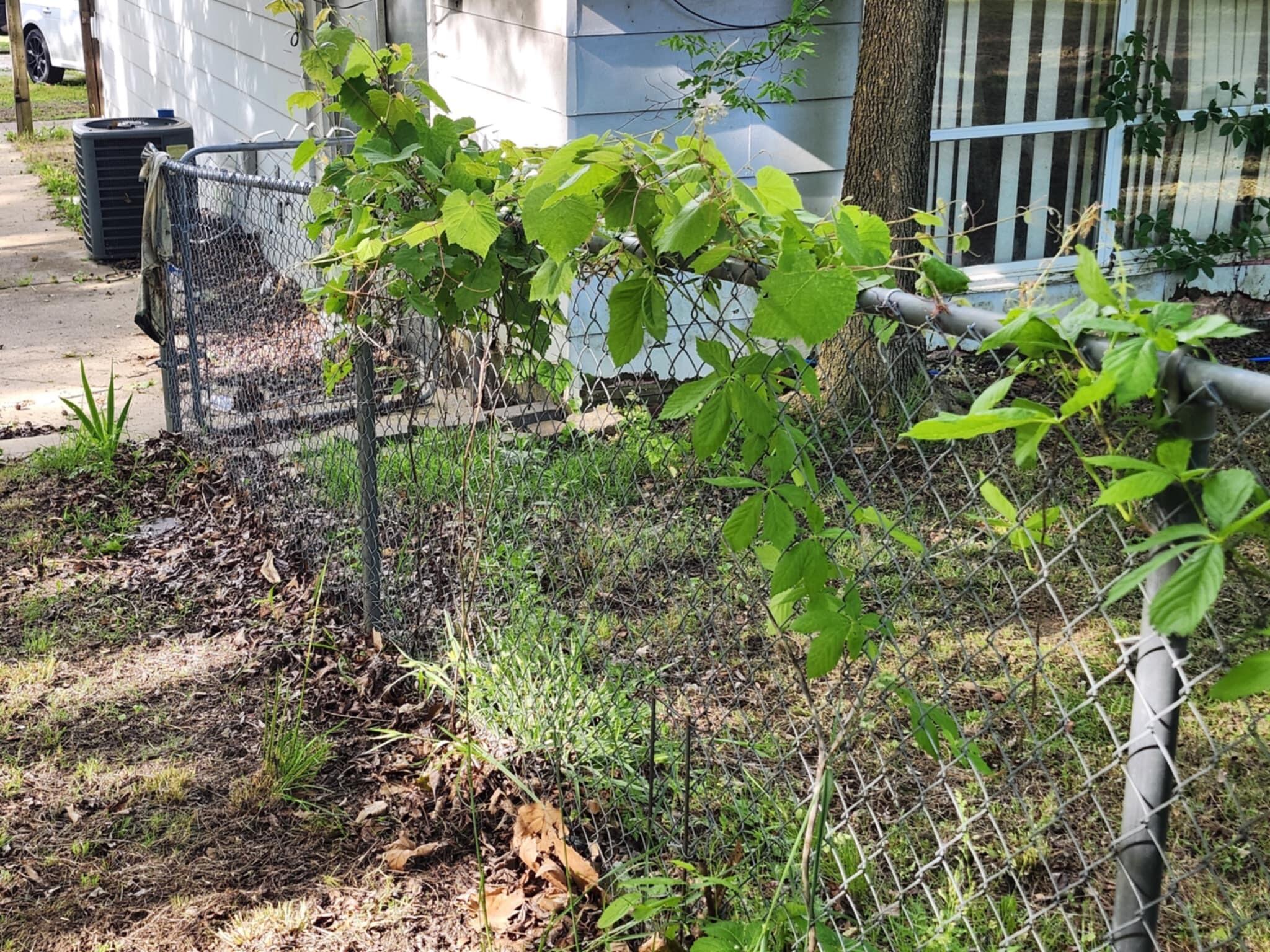 123 East Hubble Drive Property Photo 3