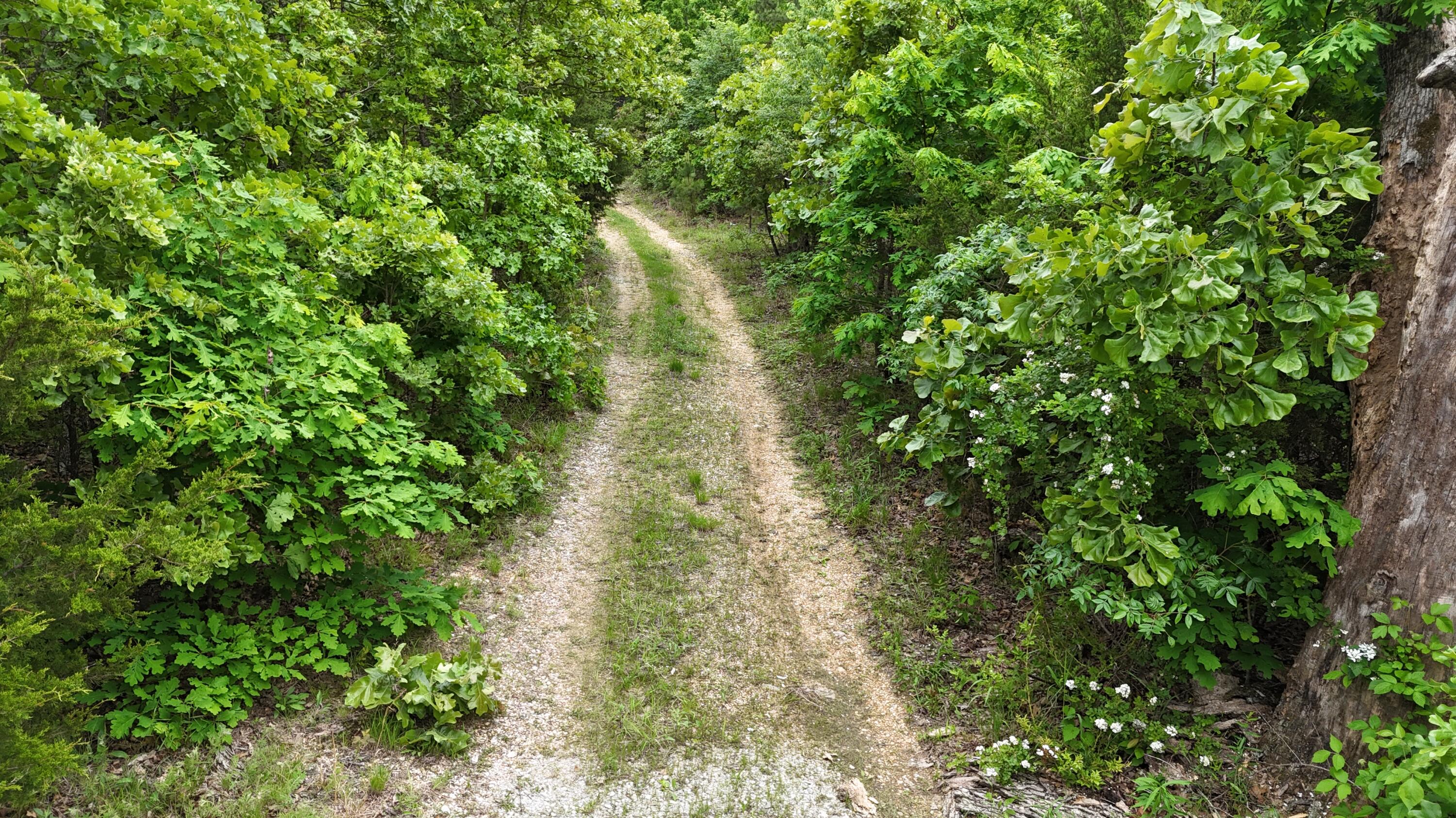 Tract 19a Pine Ridge East Property Photo 3