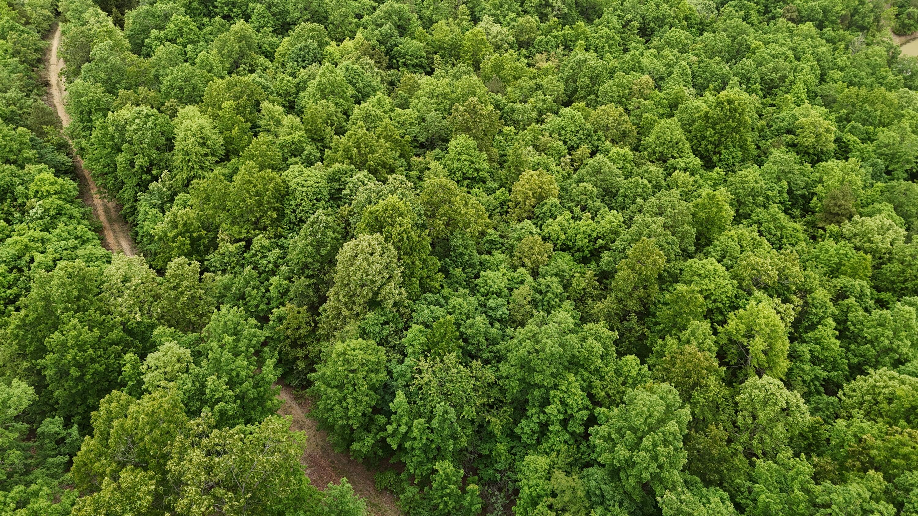 Tract 19a Pine Ridge East Property Photo 4