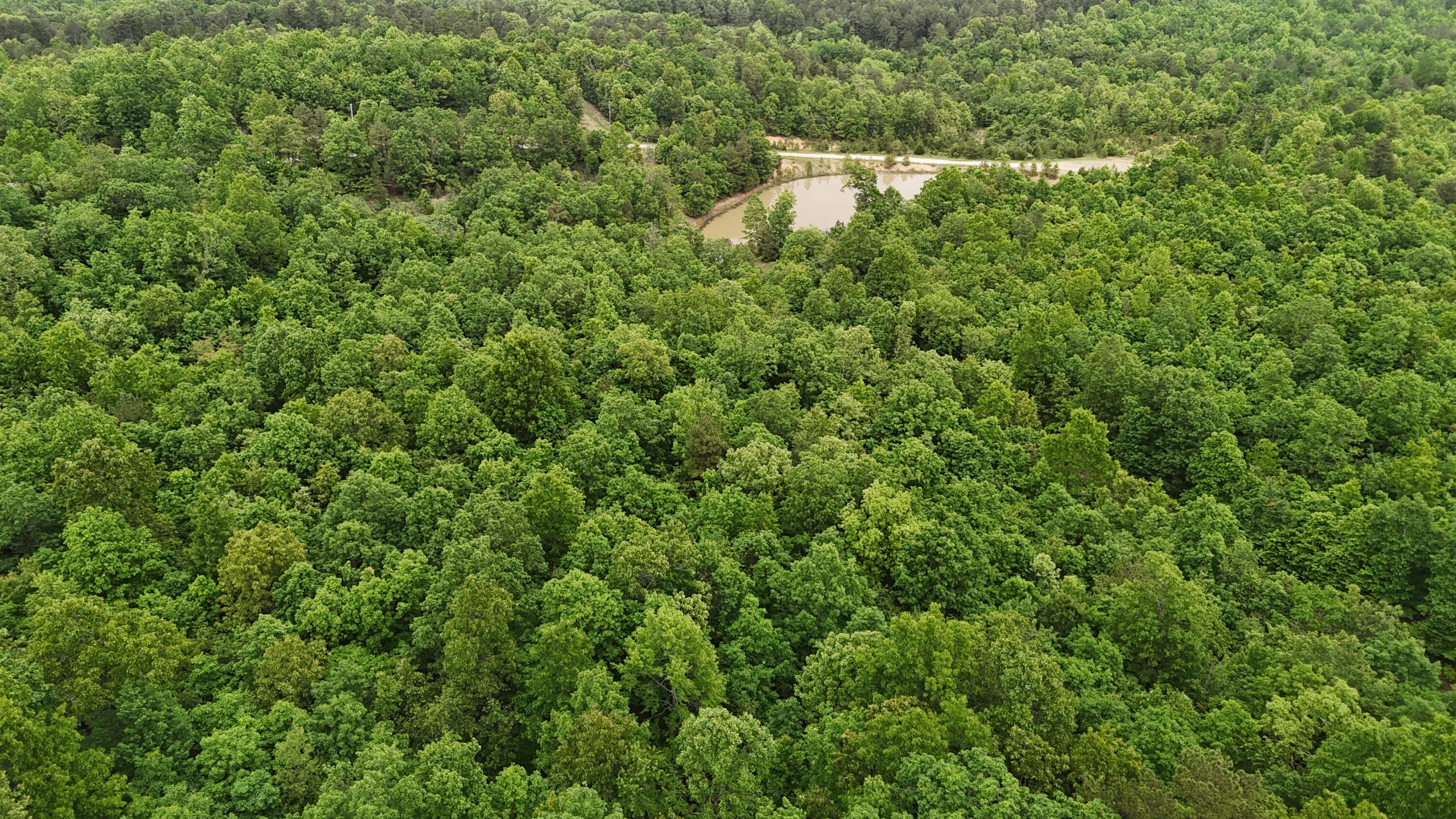 Tract 19a Pine Ridge East Property Photo 5