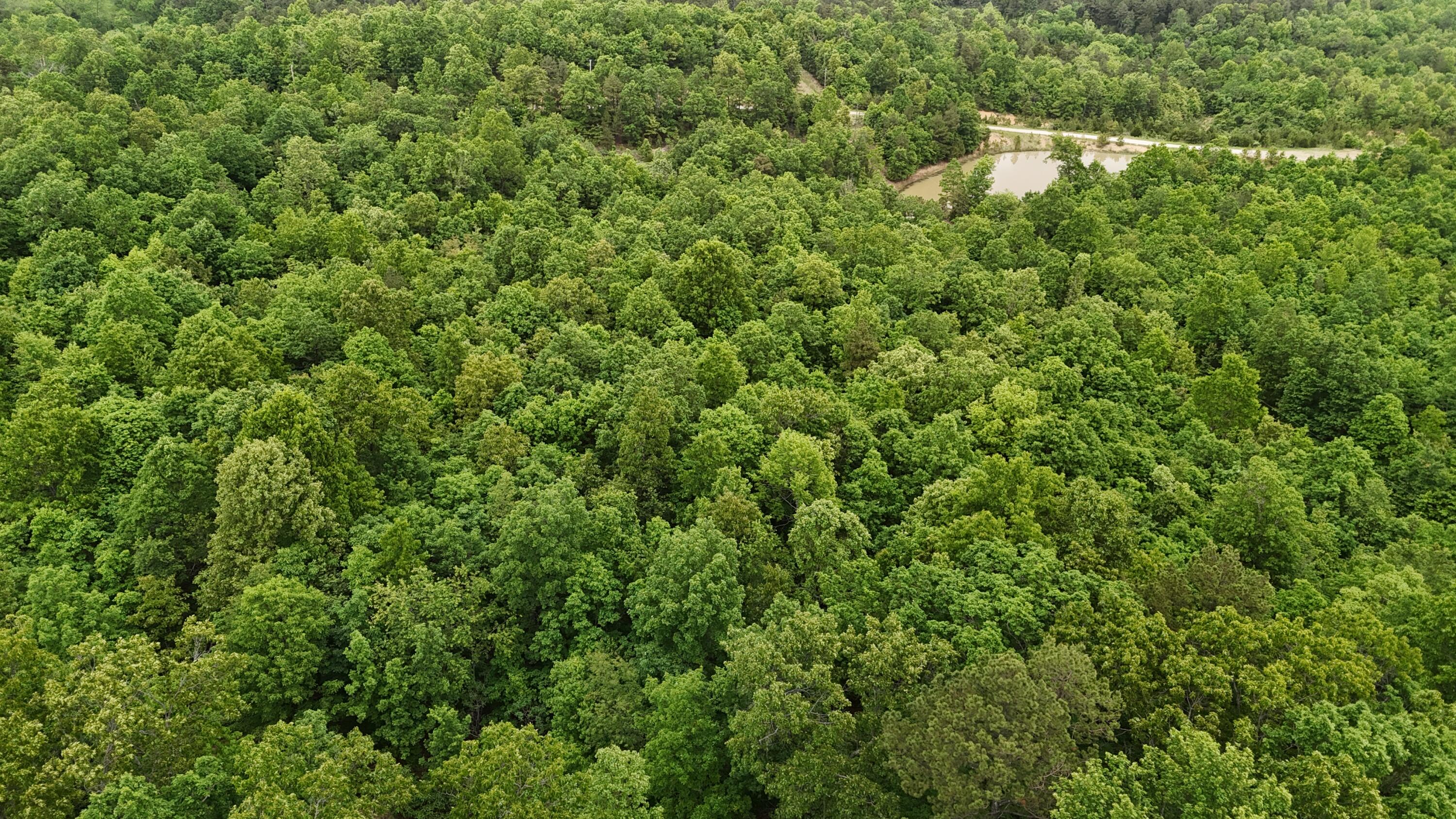 Tract 19a Pine Ridge East Property Photo 6