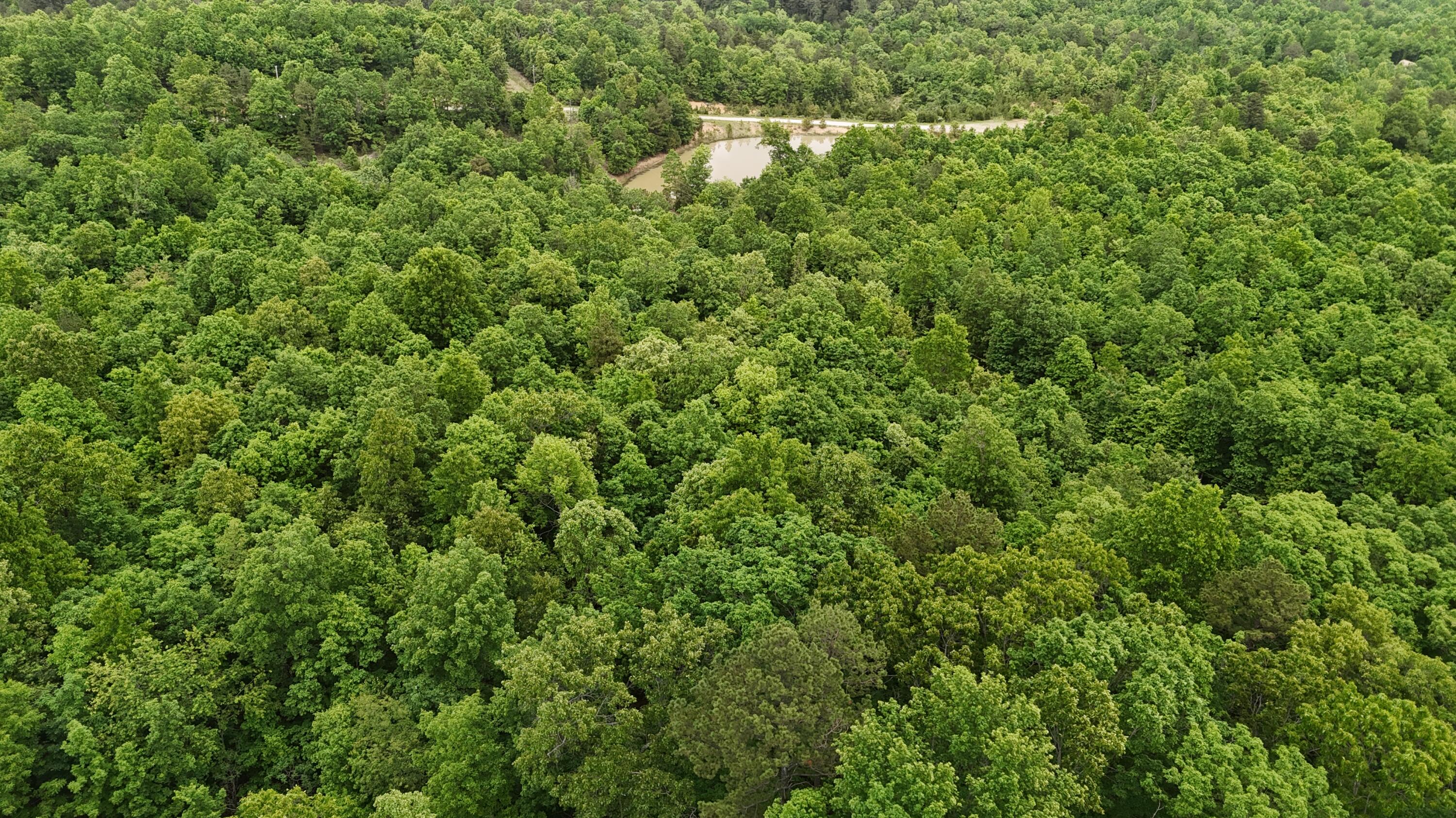 Tract 19a Pine Ridge East Property Photo 7