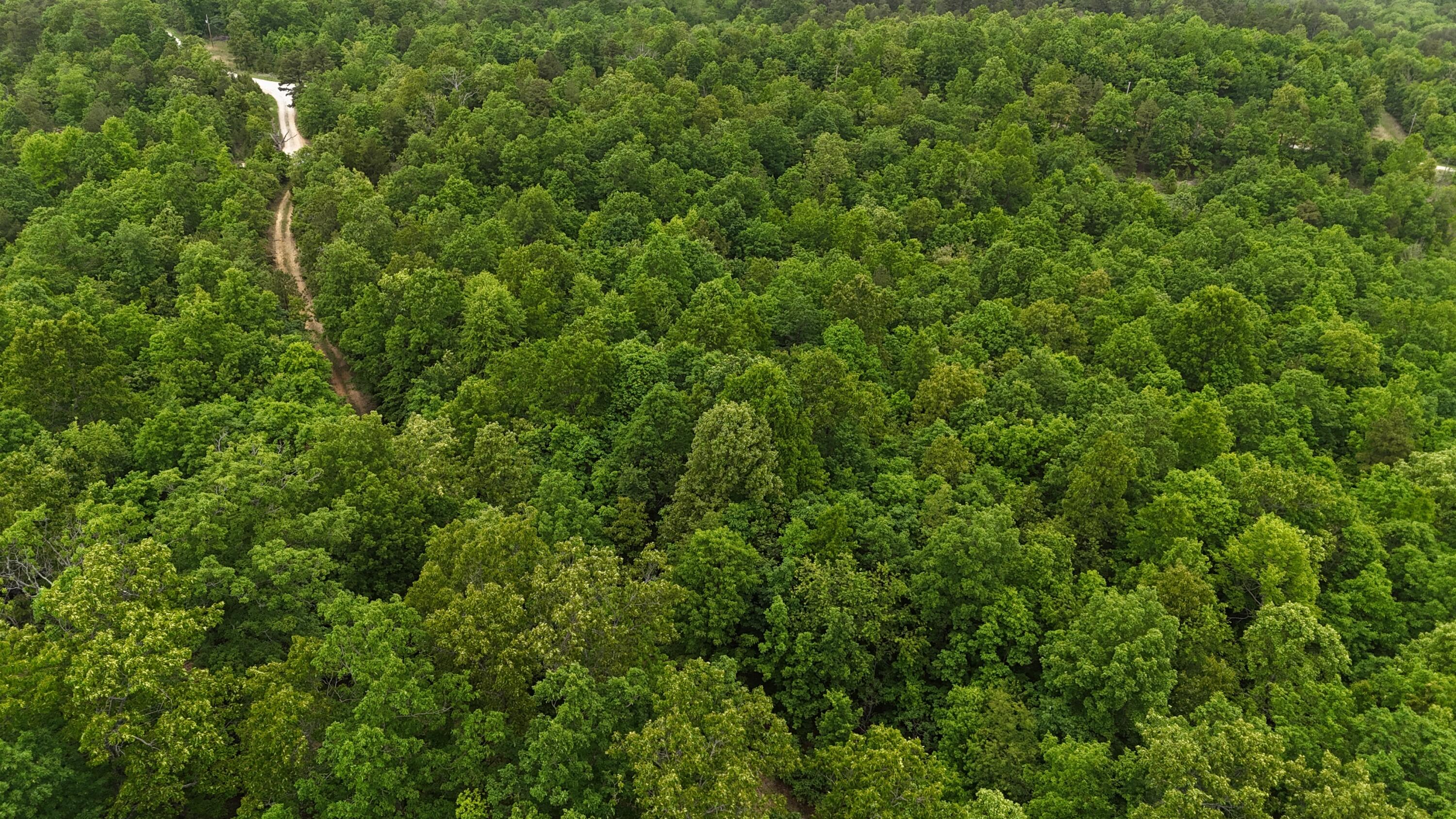 Tract 19a Pine Ridge East Property Photo 8