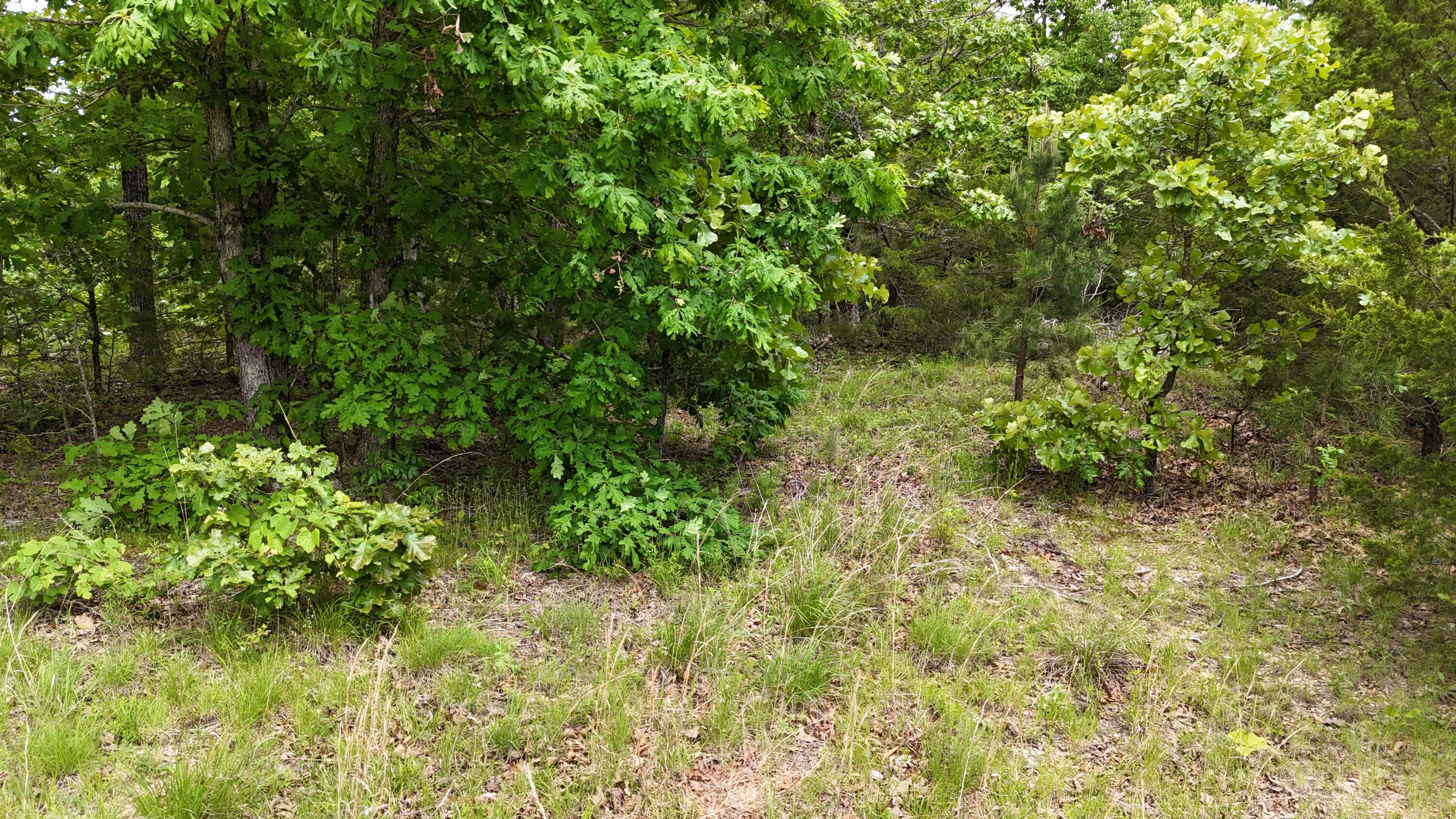 Tract 19a Pine Ridge East Property Photo 9