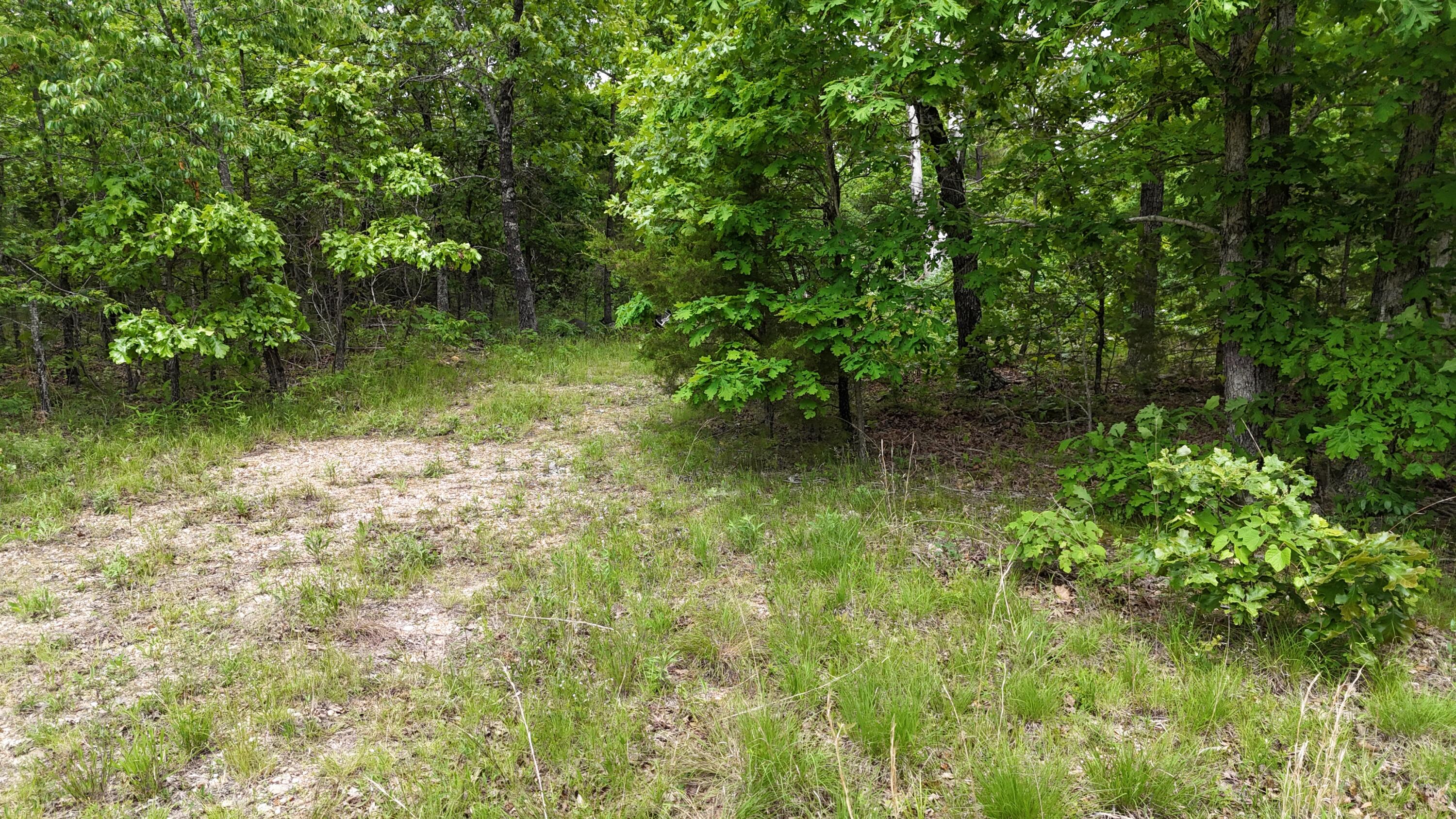 Tract 19a Pine Ridge East Property Photo 10