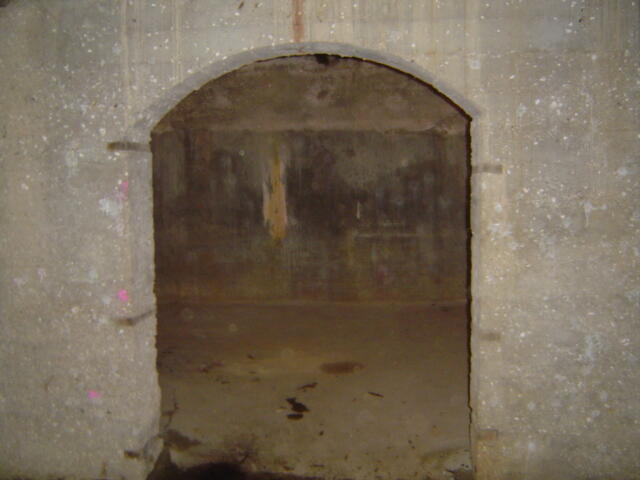 1303 West College Street Property Photo 16